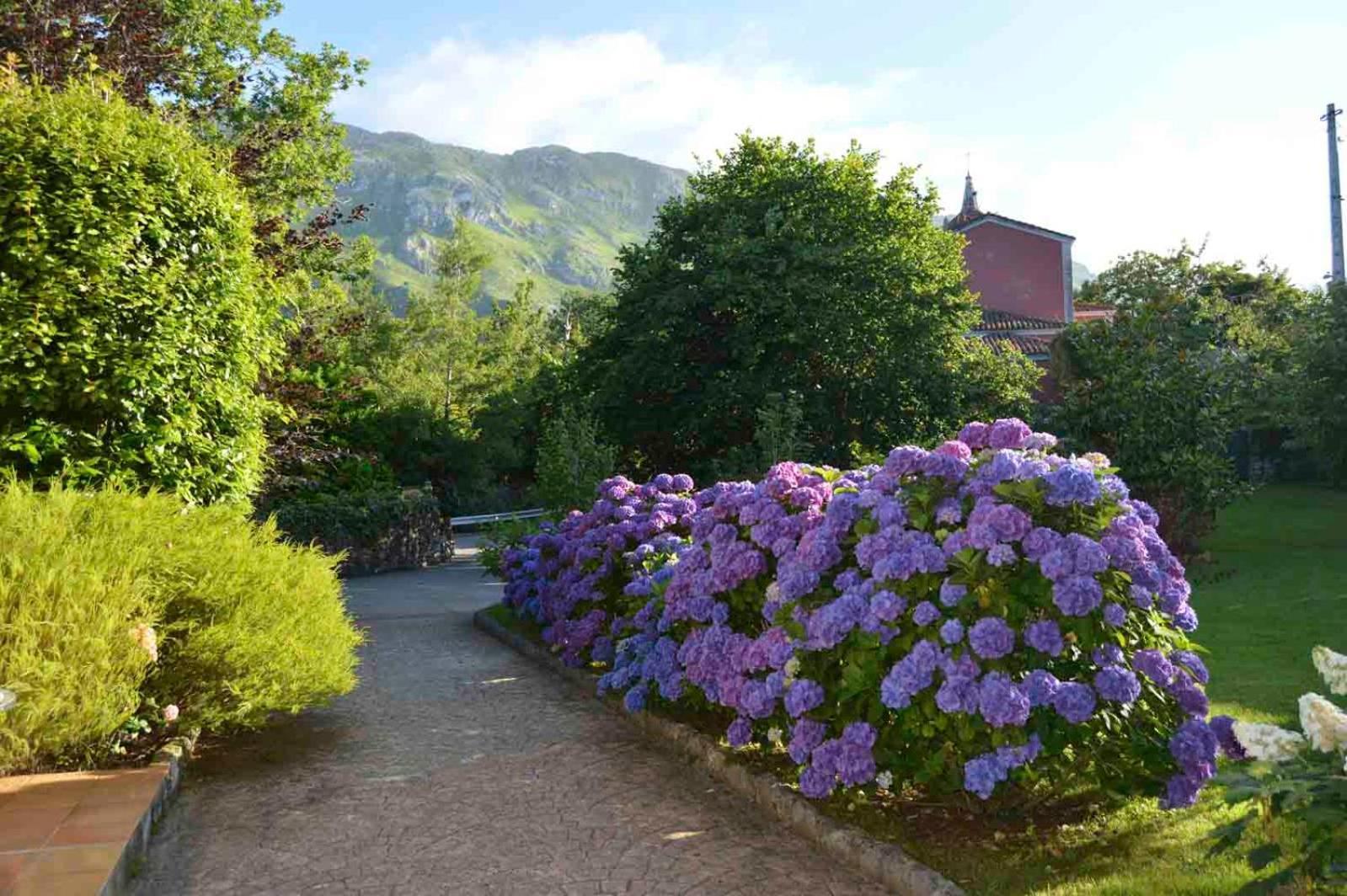 Hotel Rural Arpa De Hierba Llanes