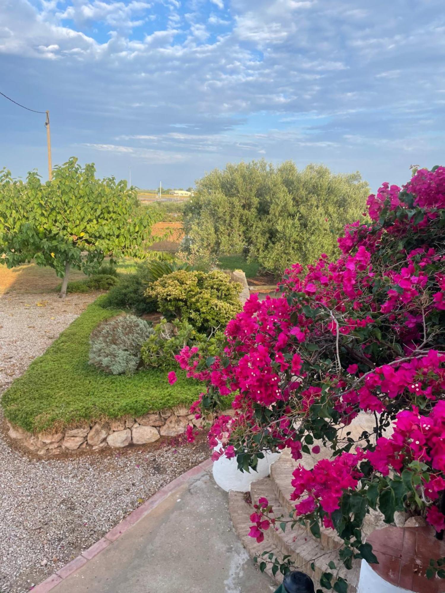 Сasa de vacaciones Masia Mas Salut Sant Carlos de la Ràpita
