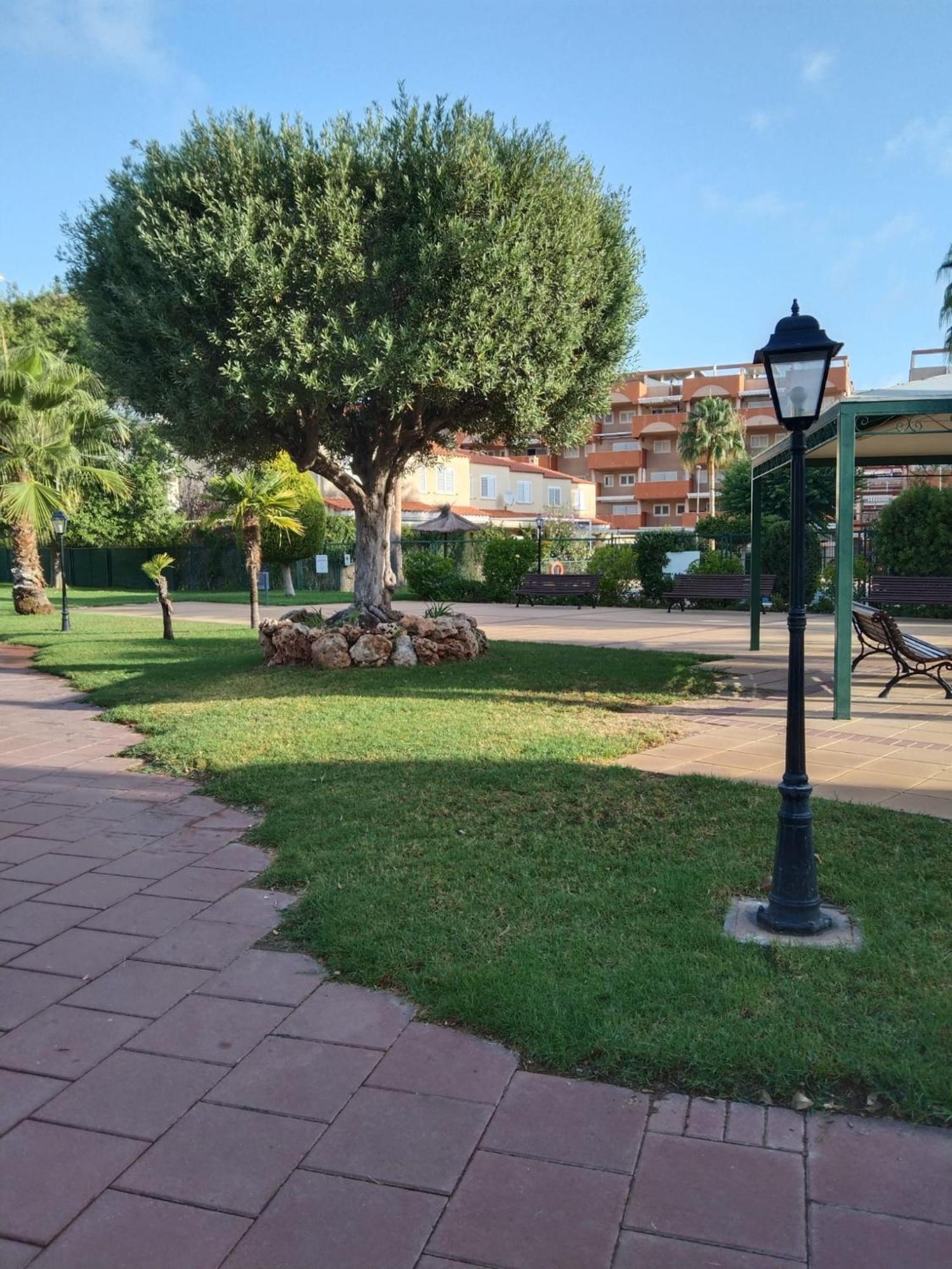 Planta Baja Canet De Berenguer *