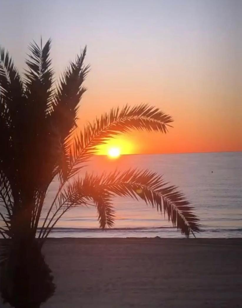 Apartamento La Rosadela Torrevieja