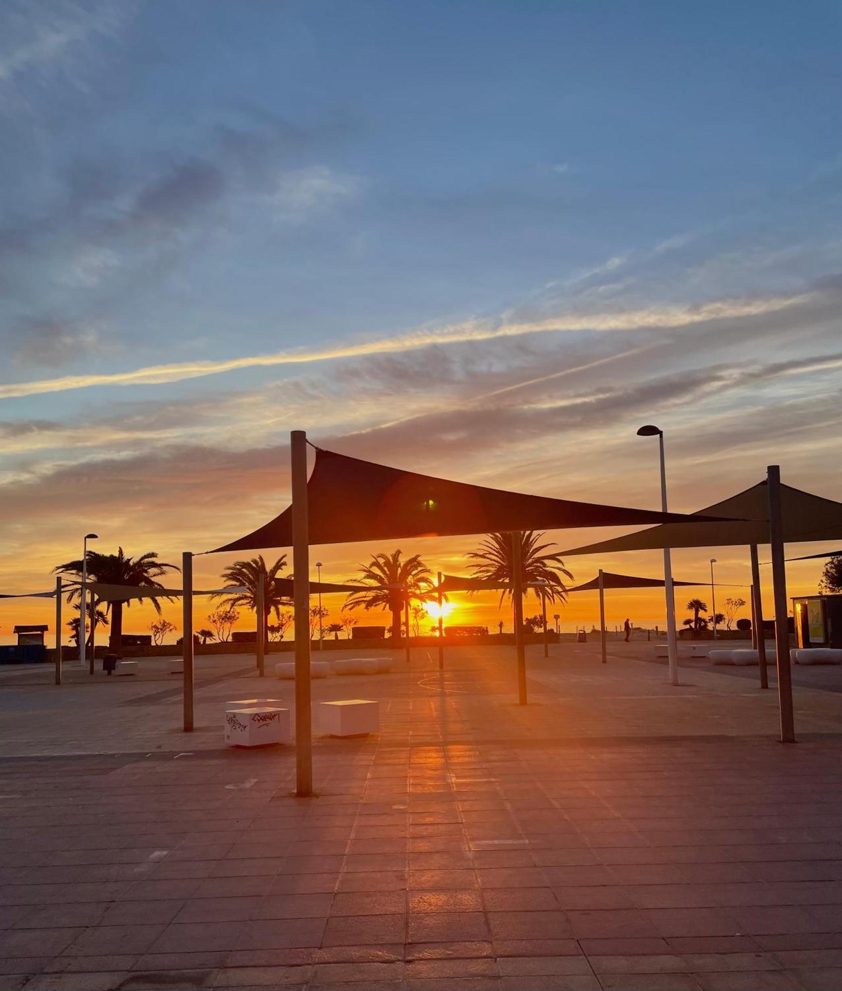 Flores Paradise Sagunto