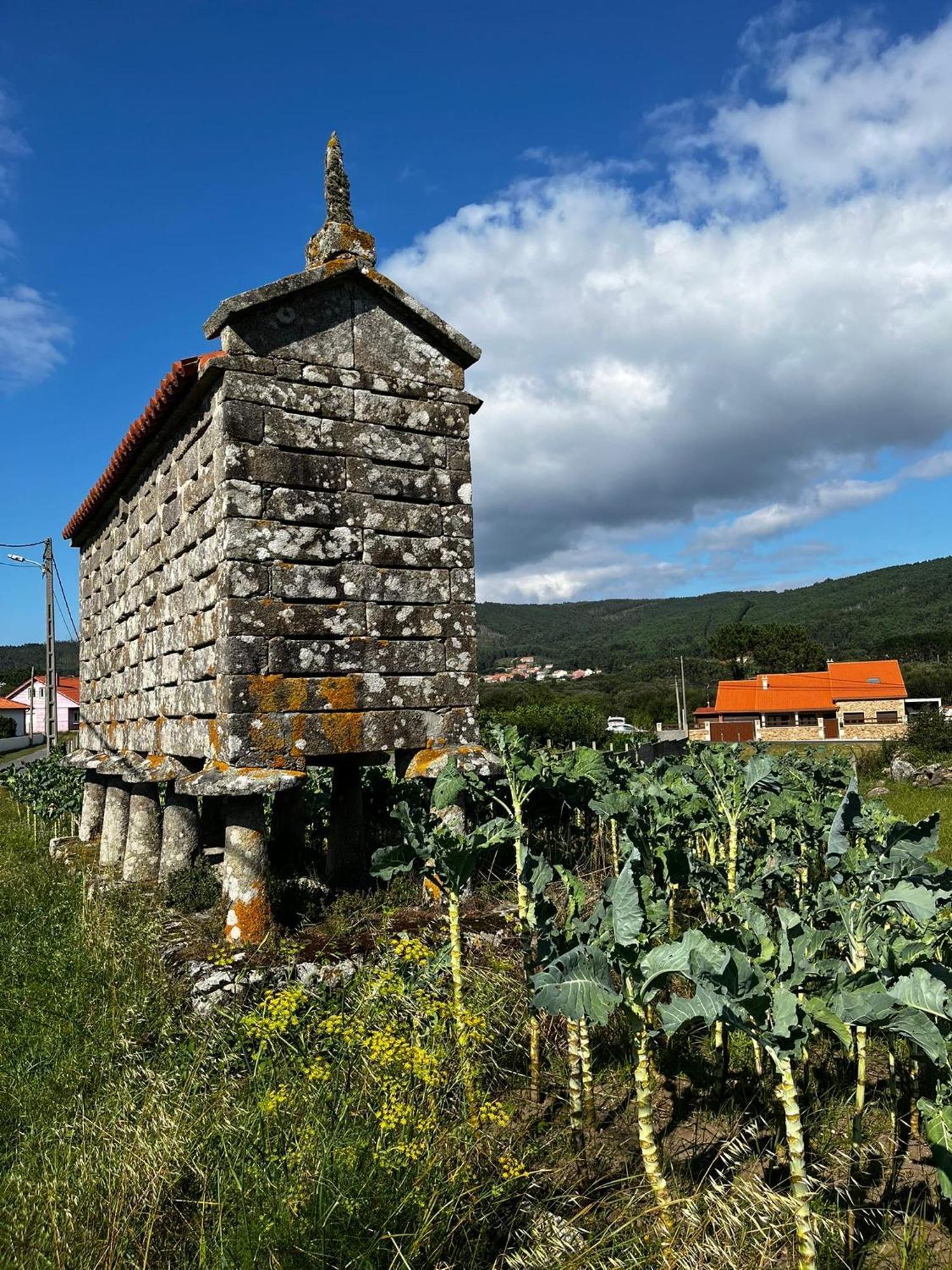 Casa Frutales Escaselas Сasa de vacaciones *