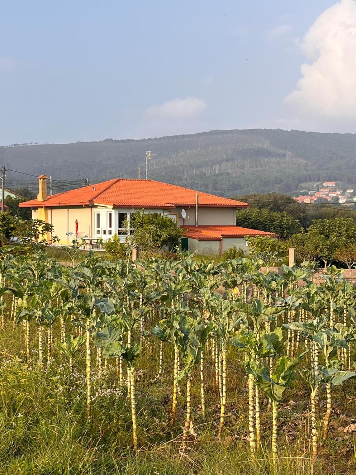 Casa Frutales Escaselas *