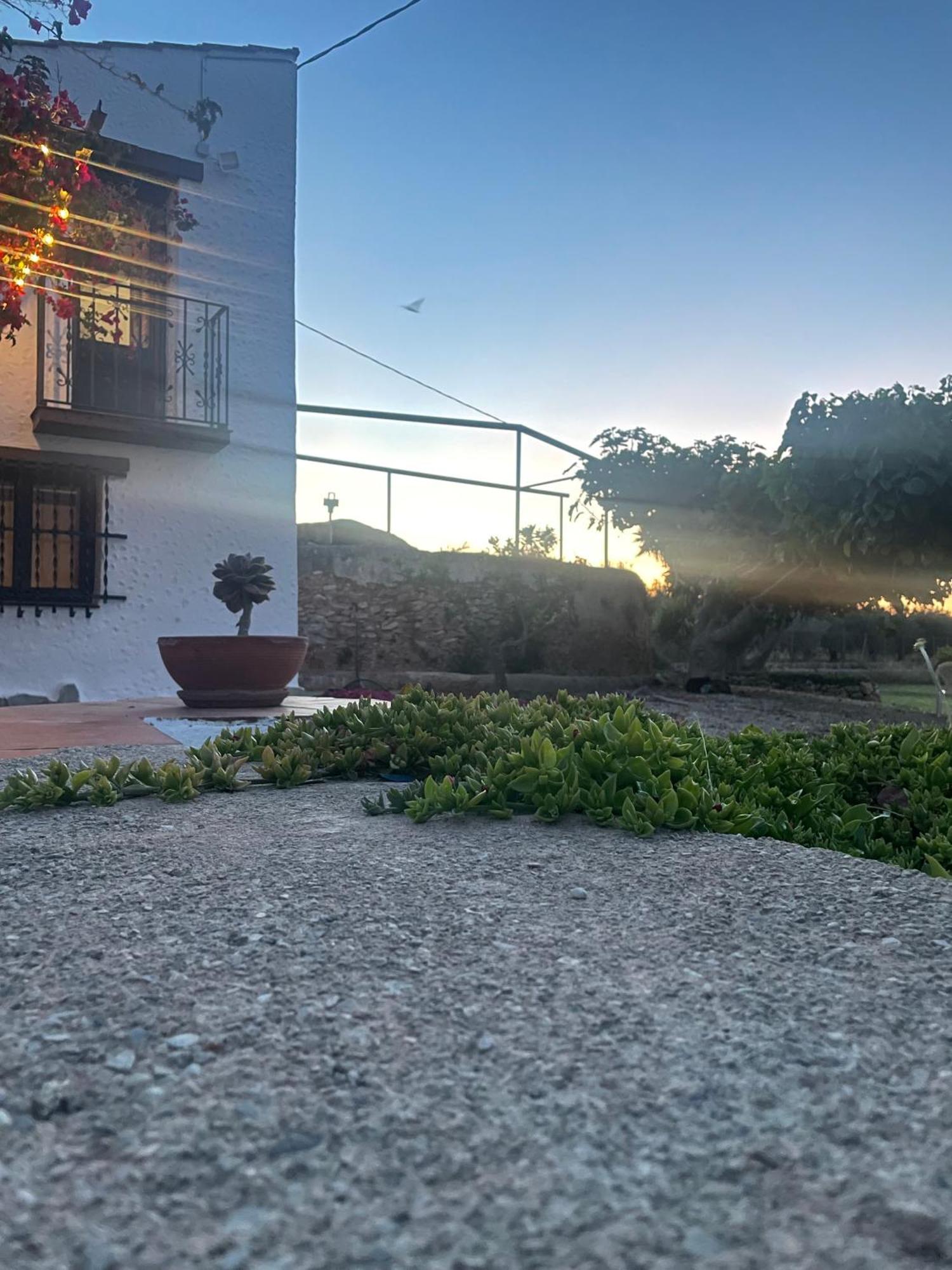 Сasa de vacaciones Masia Mas Salut
