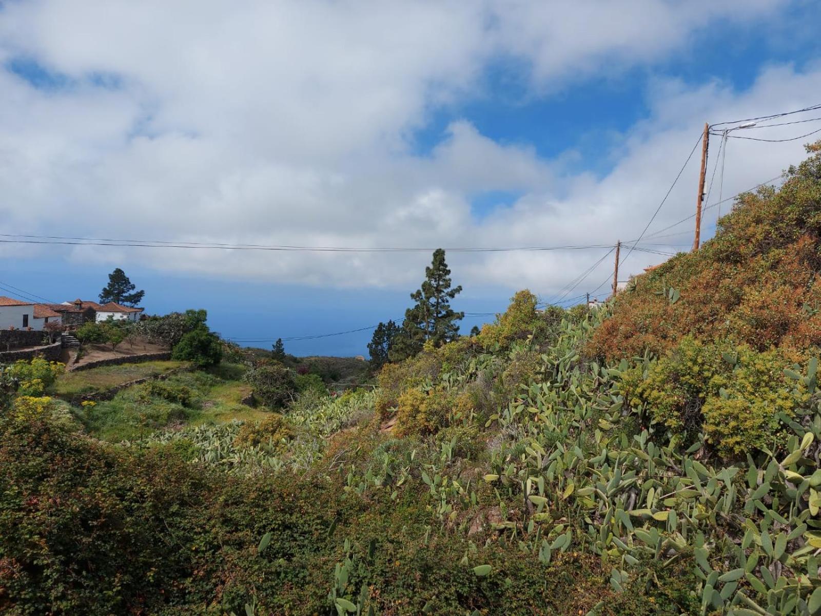Casa Jose Costa Adeje (Tenerife)