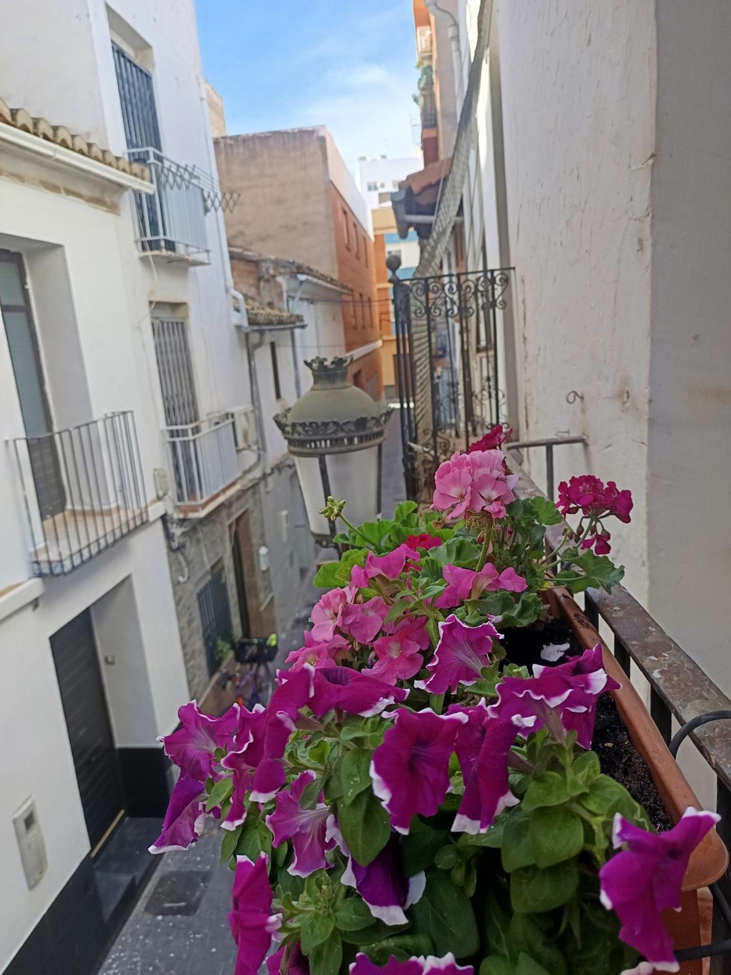 Garden Salvaje *