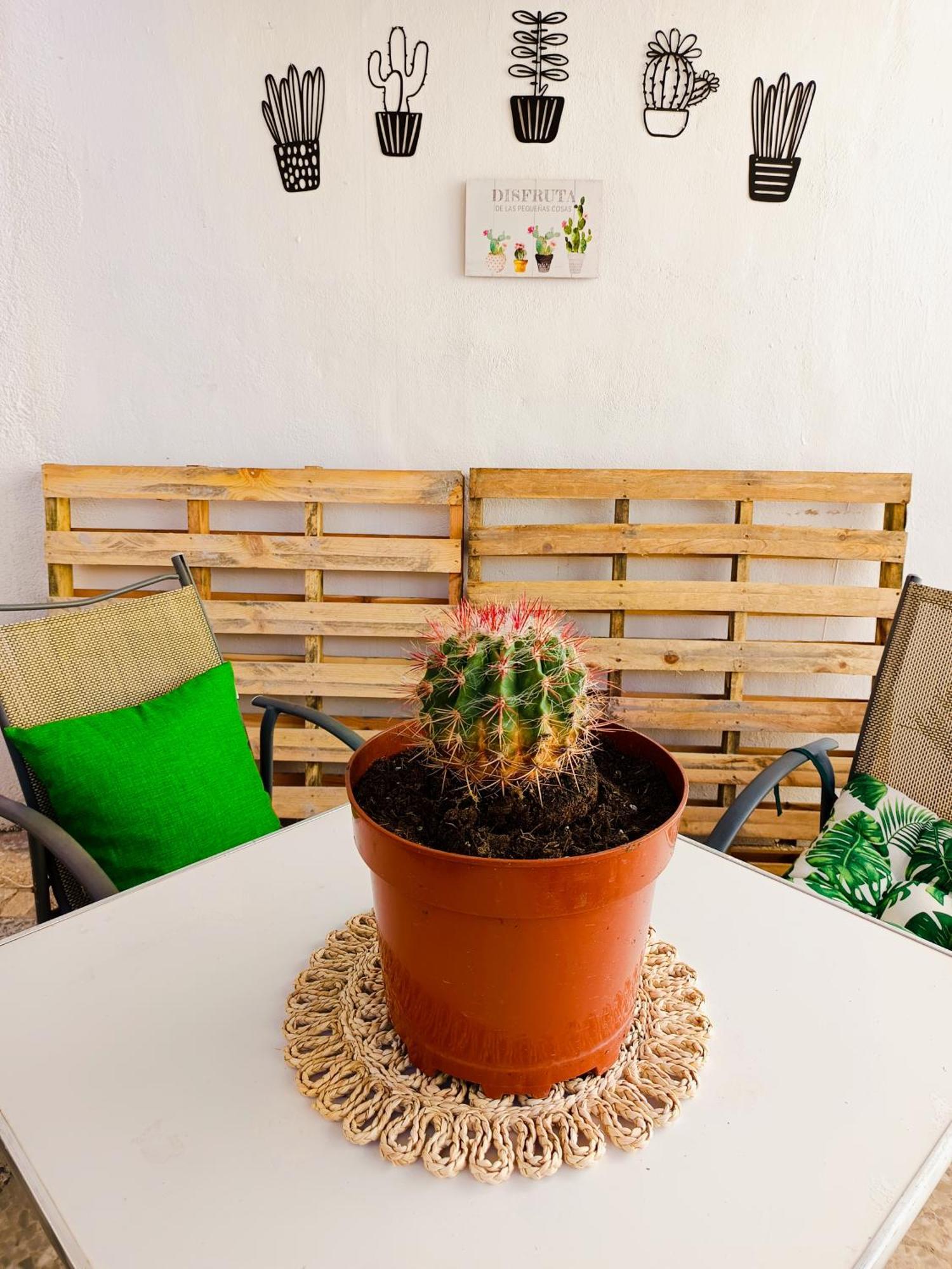 Apartment Garden Salvaje