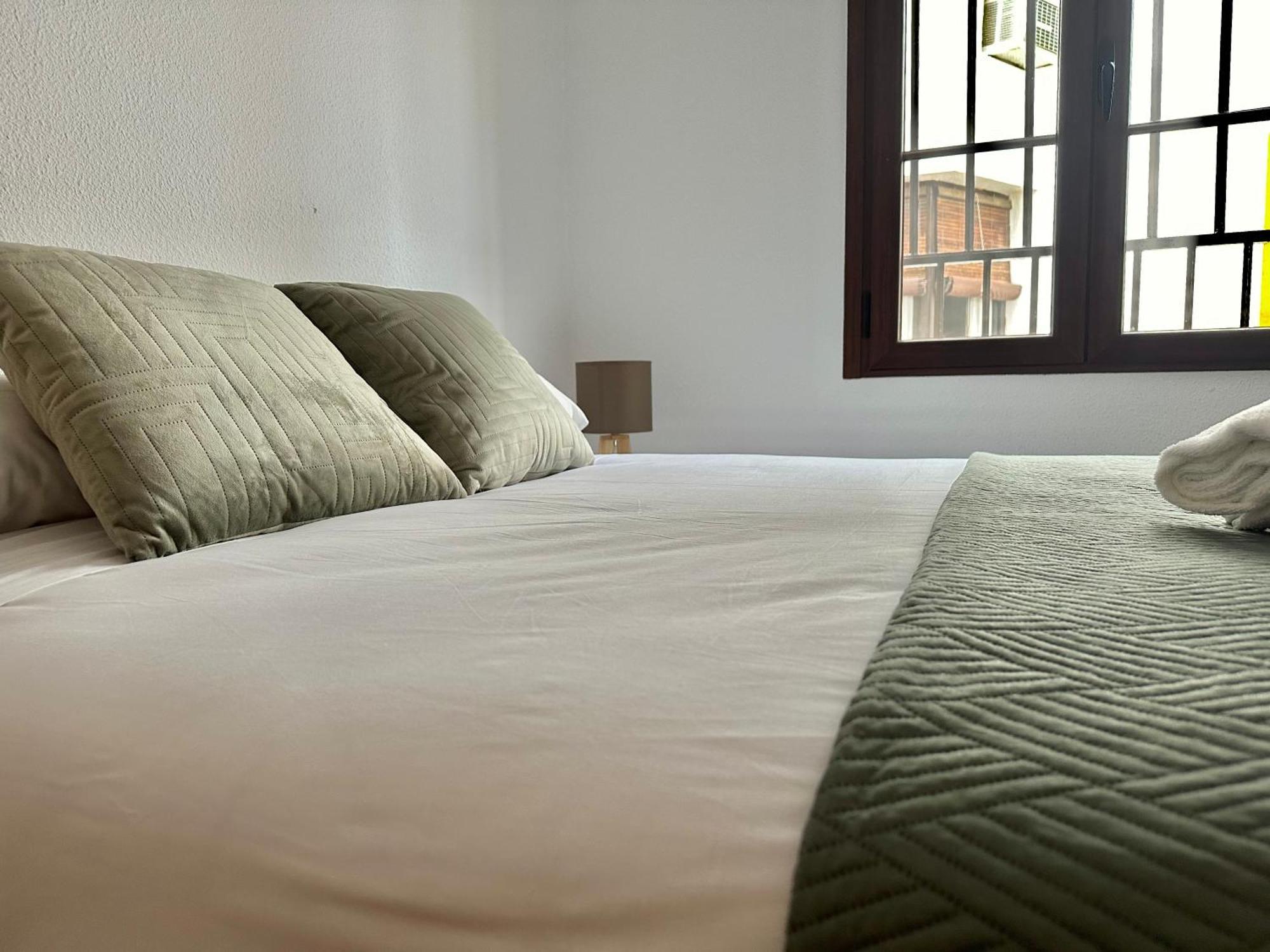 Apartment Saravia