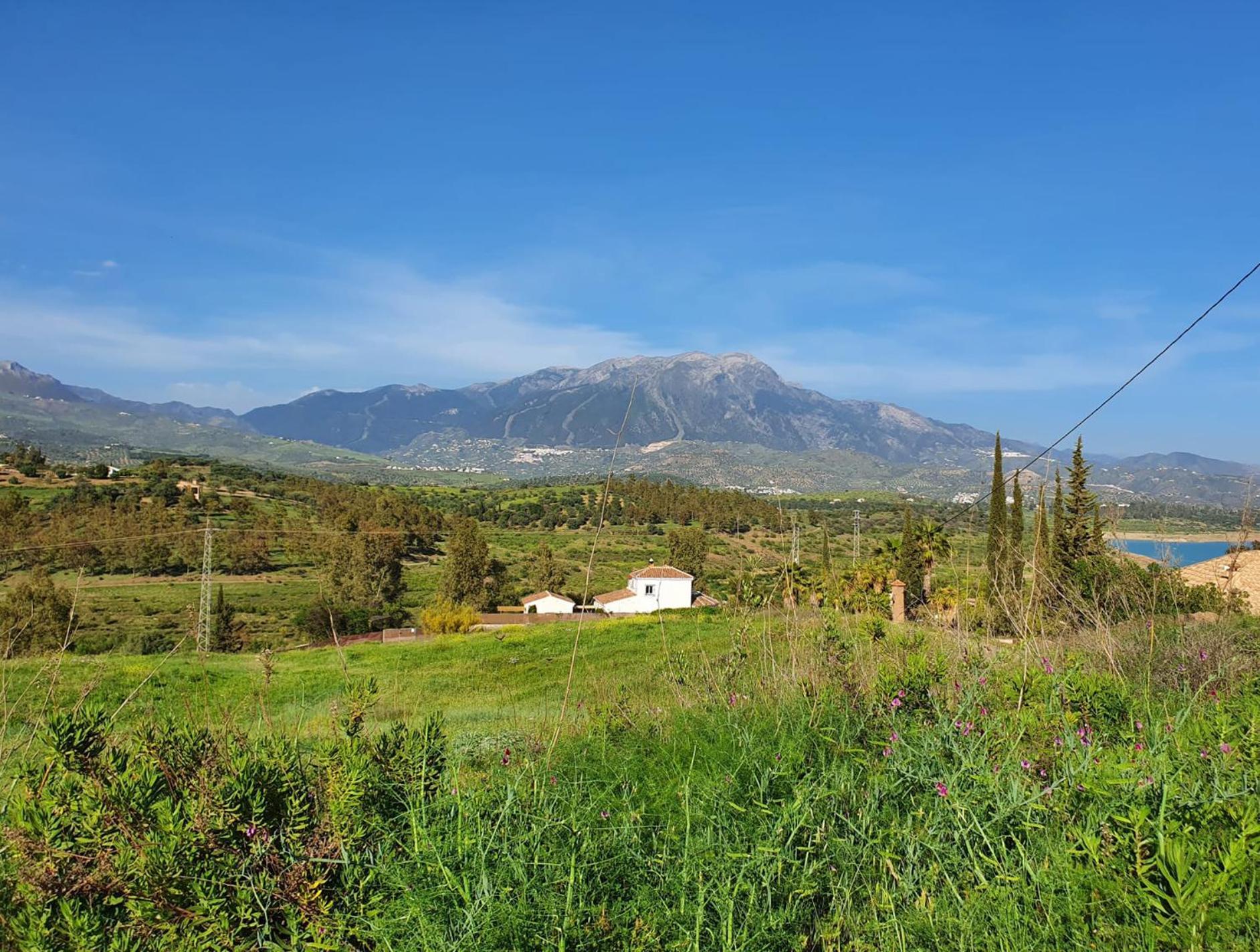 La Rustica En Vinuela, Piscina Privada * Vinuela