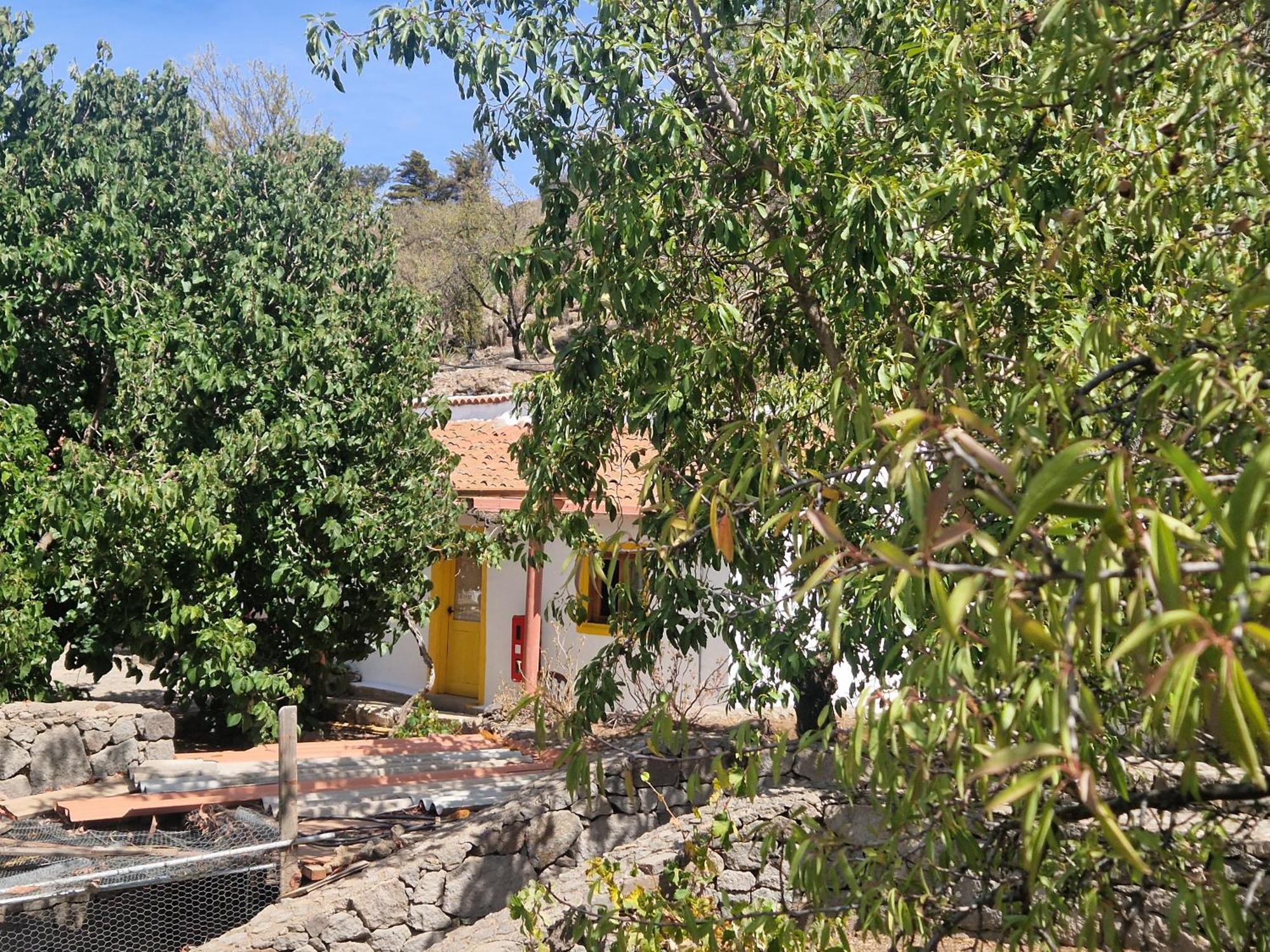 Mountain La Isa By Rose Hostal Tejeda (Gran Canaria)