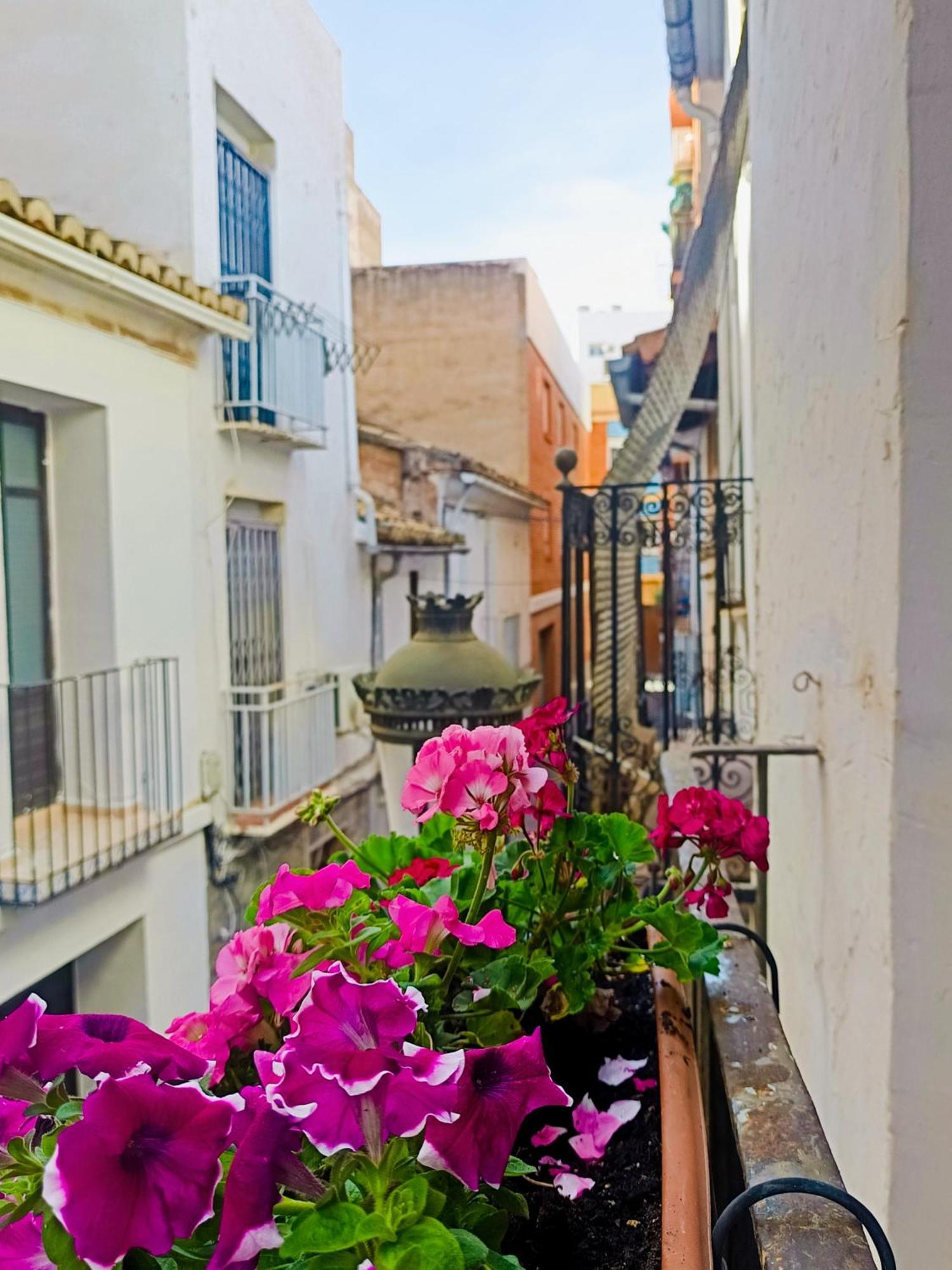 Garden Salvaje Apartment