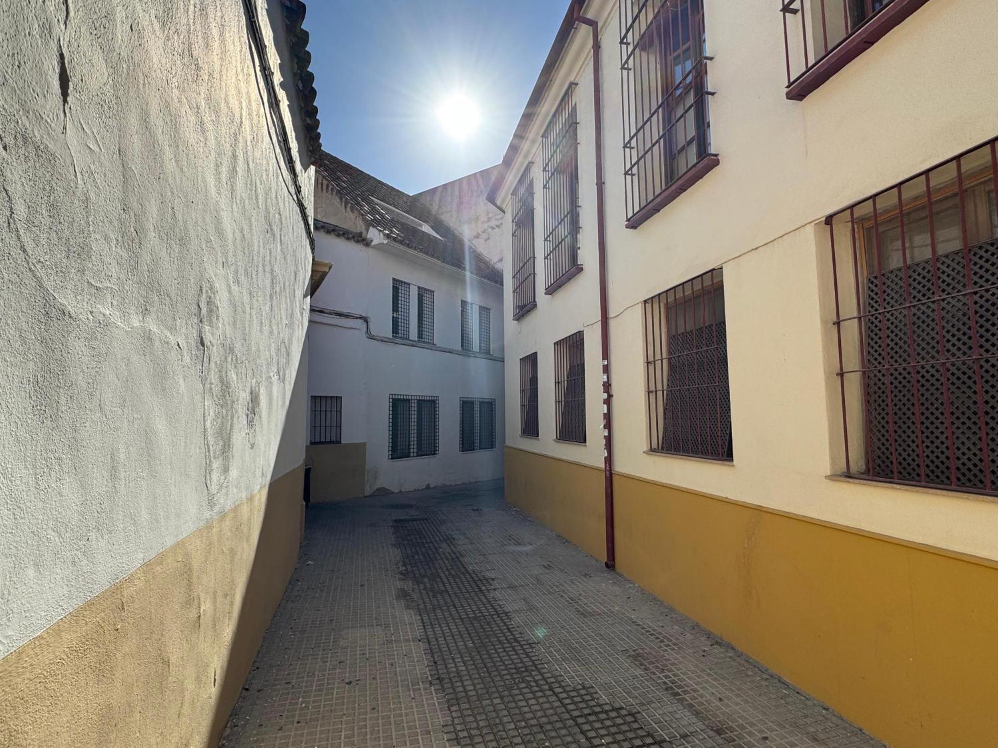Apartment Patio De La Calleja
