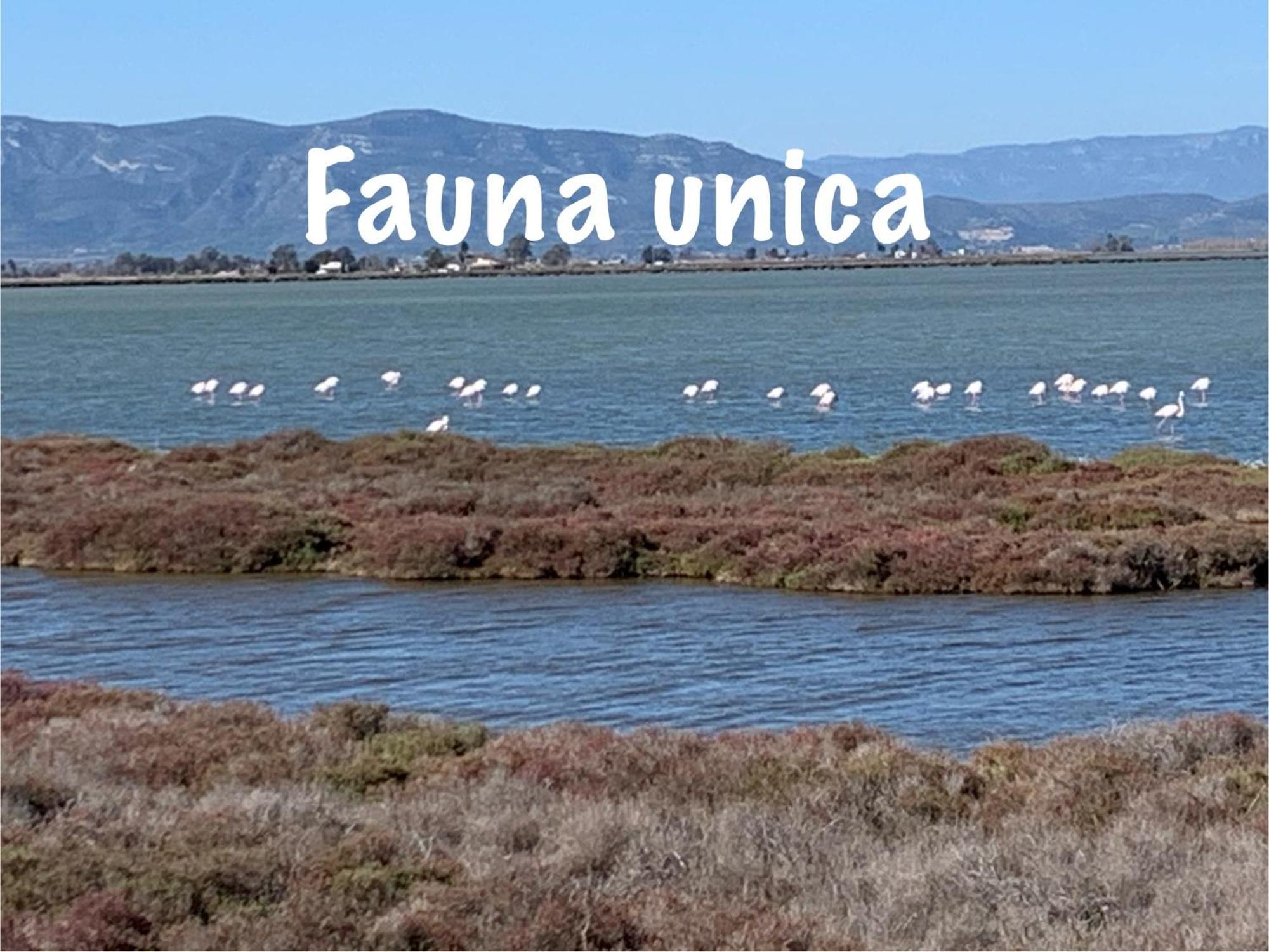 Сasa de vacaciones Casa De Sueños Benasha *