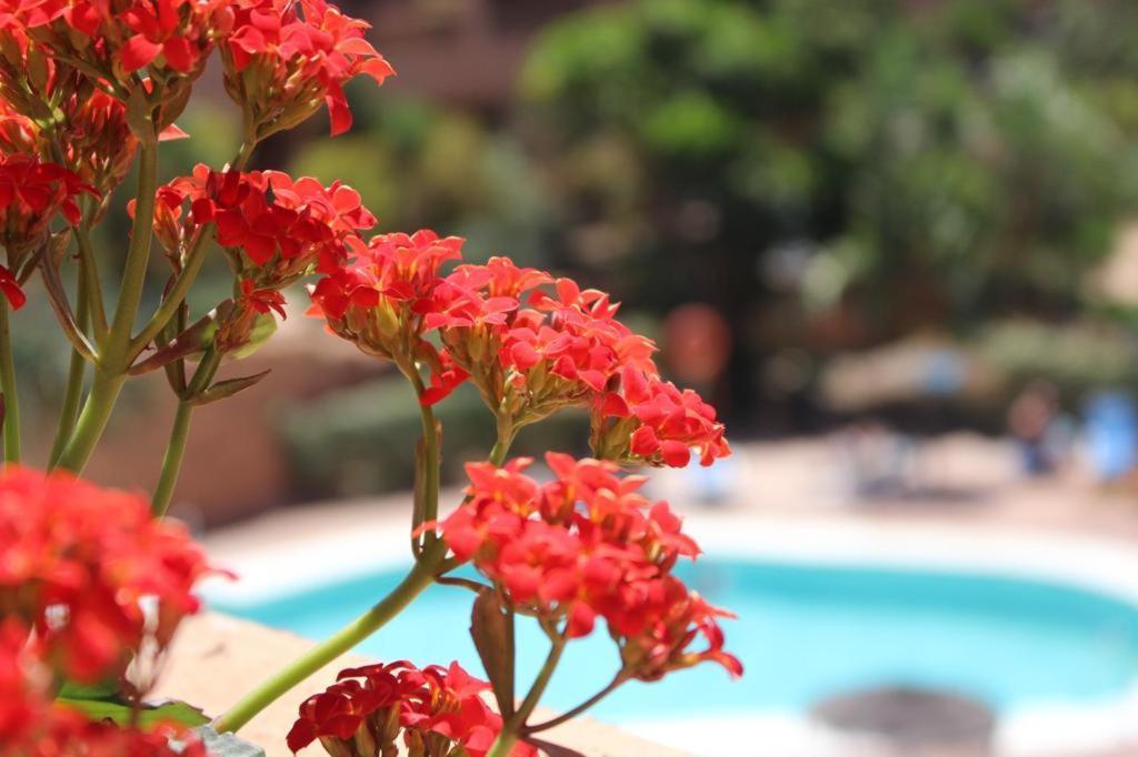 Apartamento Sol Y Brisa *