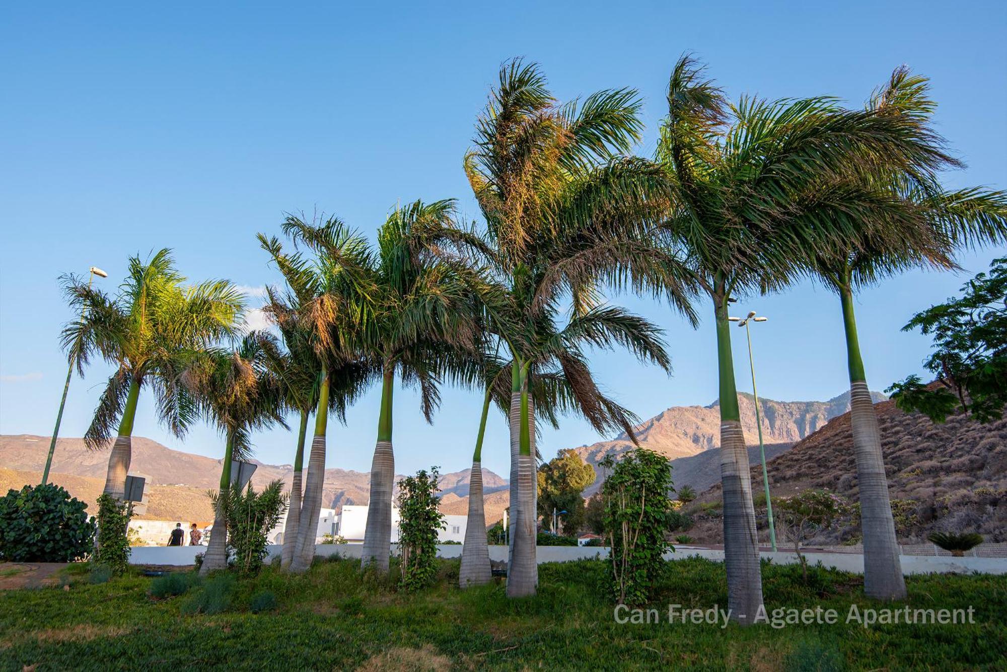 Fredy - Private Agaete Apartamento Agaete (Gran Canaria)