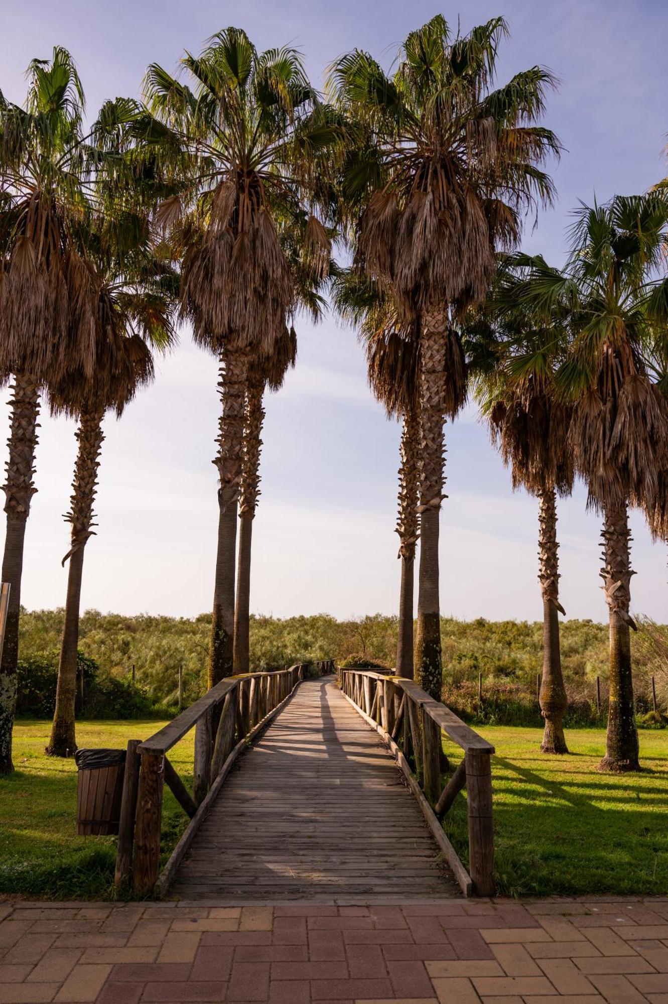 Iberostar Isla Canela