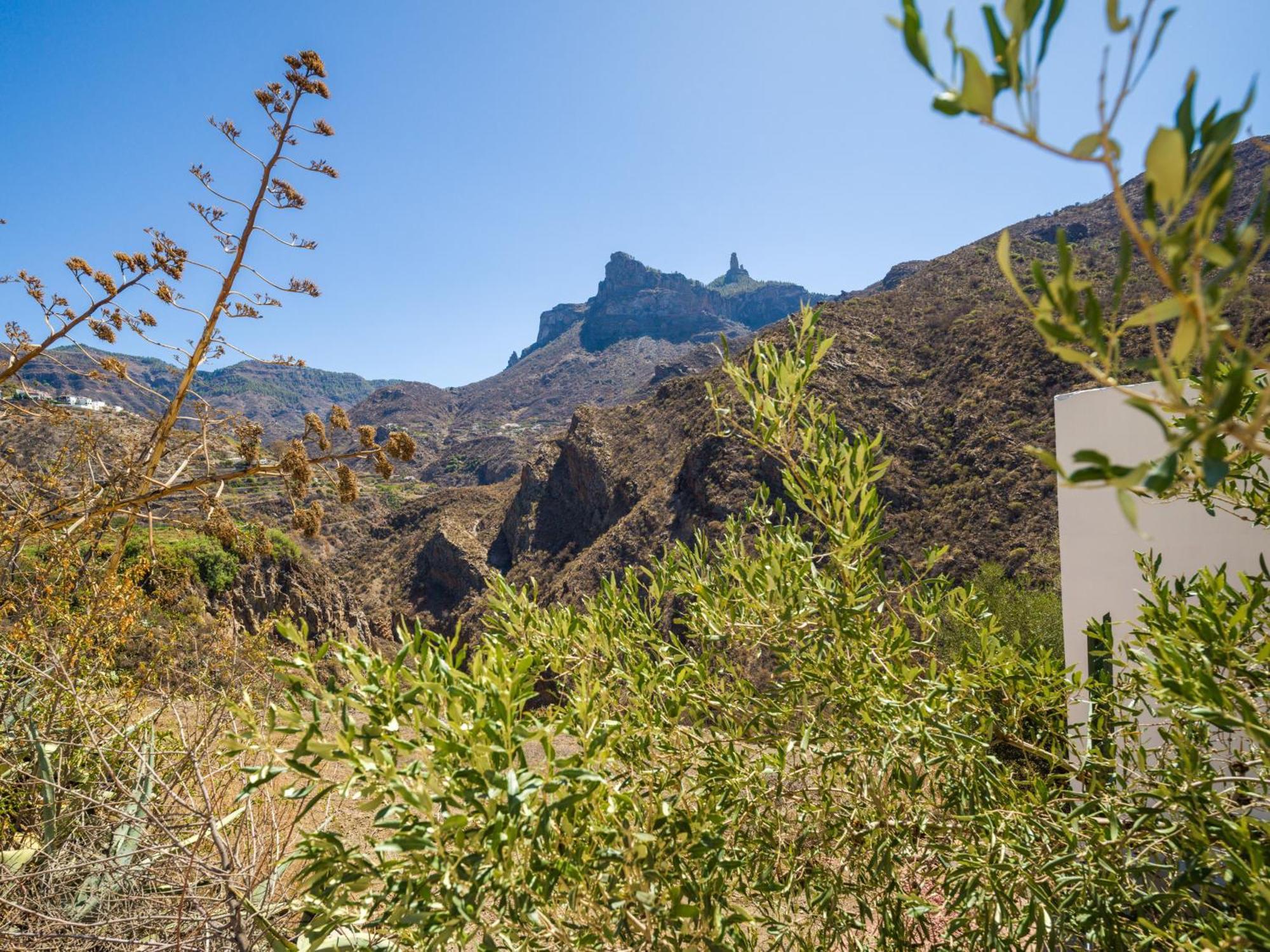 Rural La Montaña Tejeda (Gran Canaria)