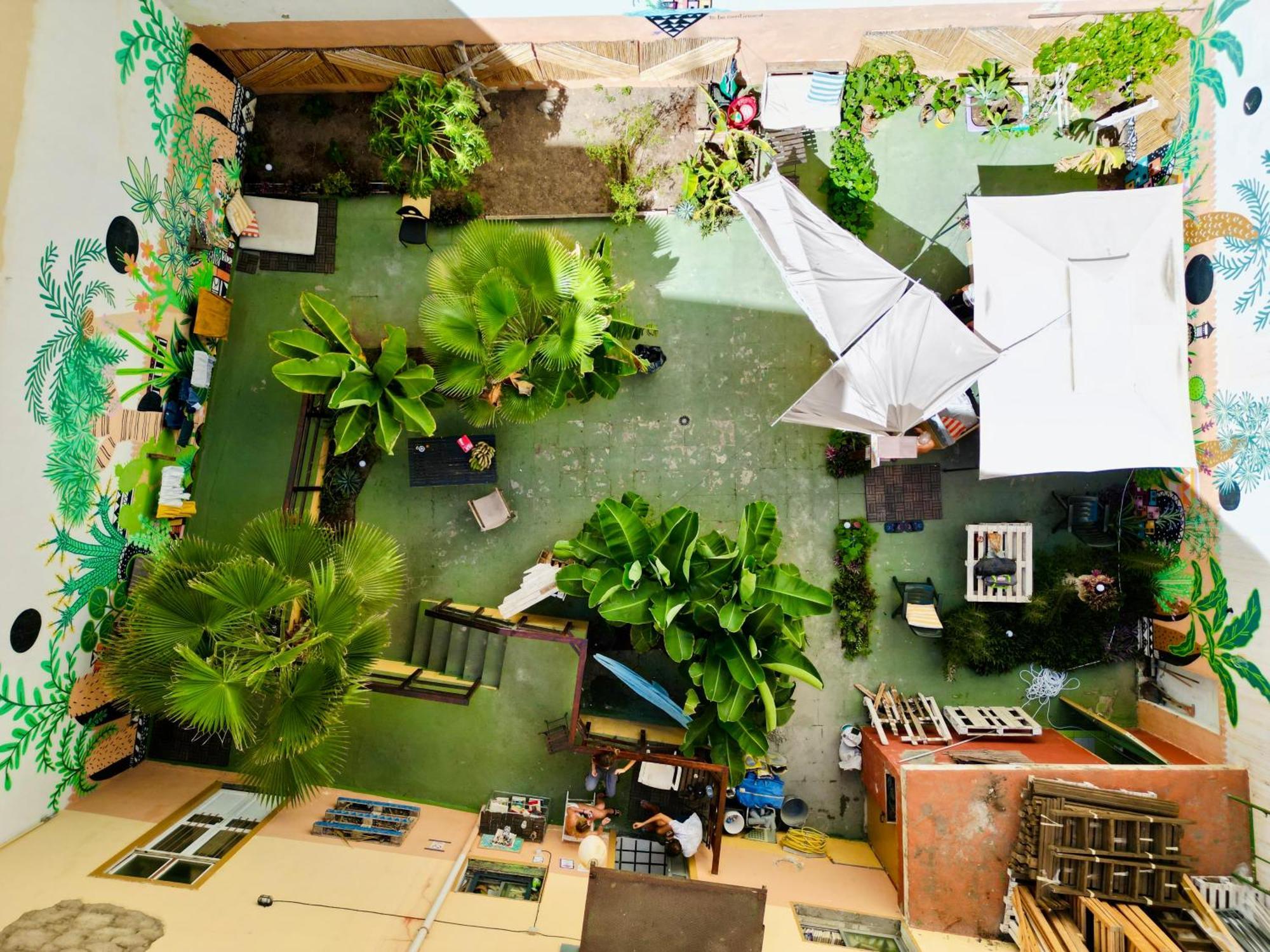 Jungle House Hostal