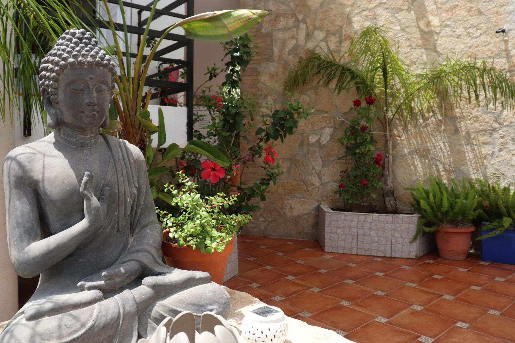 La Paloma Ii 2*