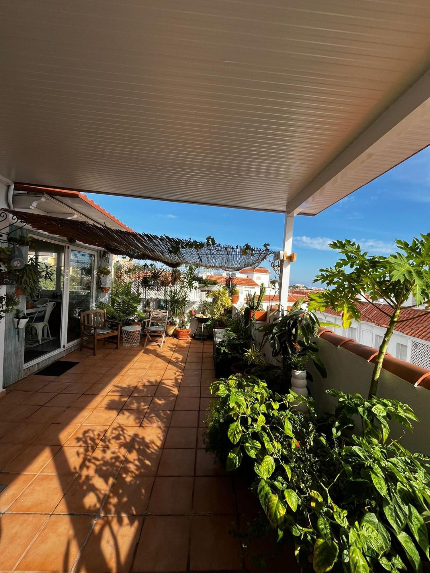 Orquideas Apartment