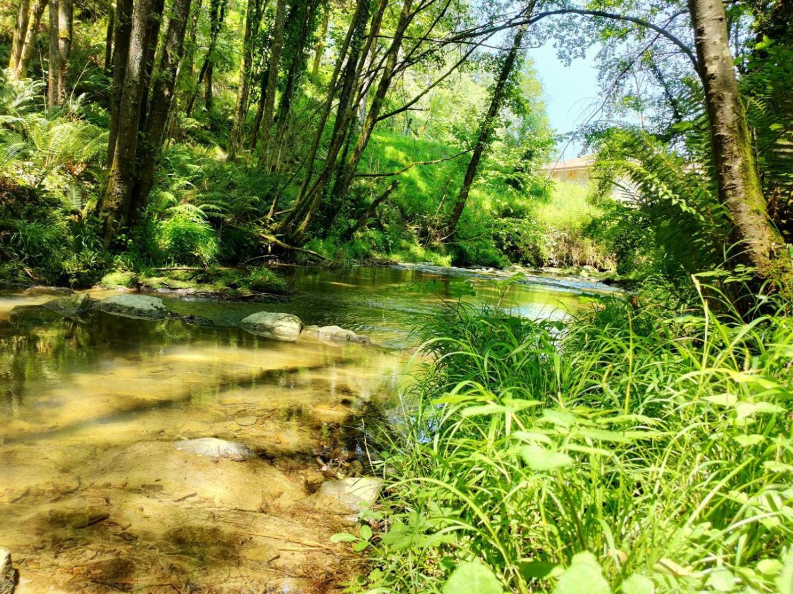 Lodge Zubizar *