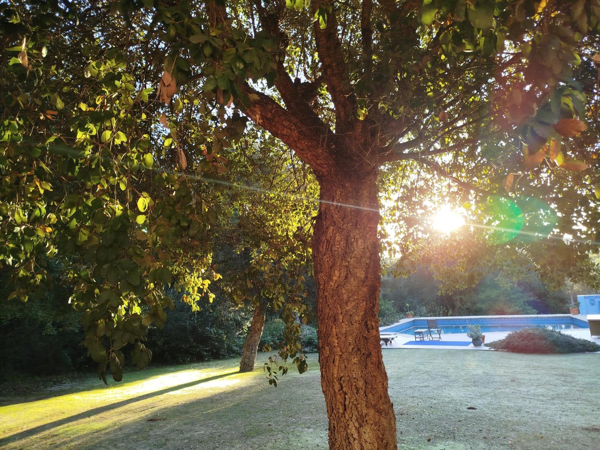- En Plena Naturaleza - Abril Homestay