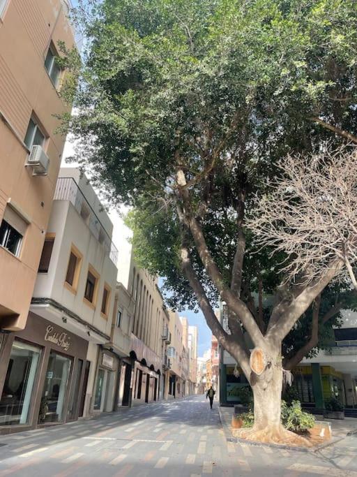 Apartamento En Centro De