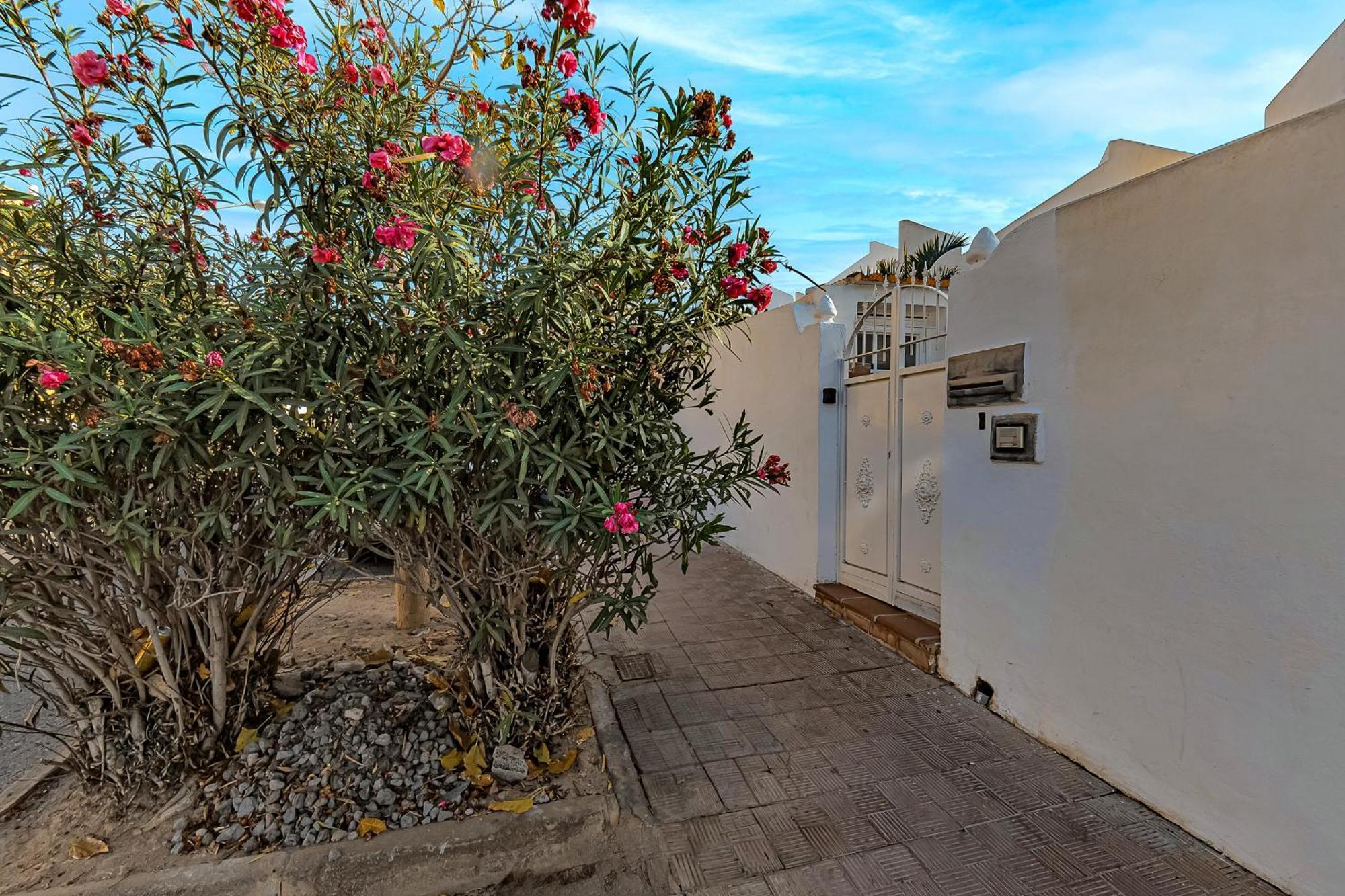 Apartamento On Torviscas Costa Adeje (Tenerife)