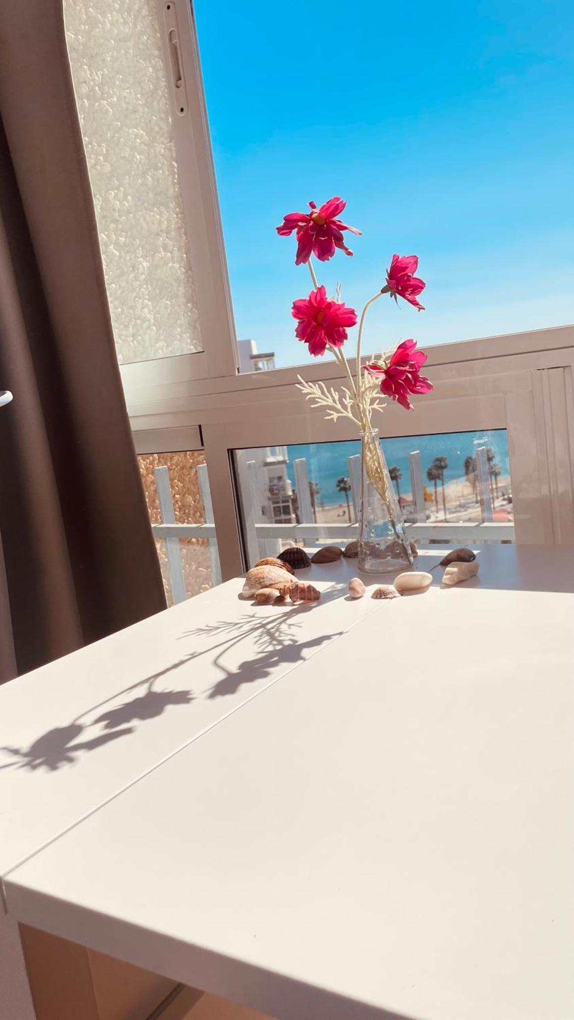 Bed & Breakfast ,apartamento-estudio Primera Linea De Playa *