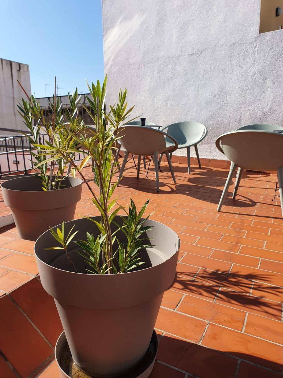 Guest house Alegoria Coliving Experience