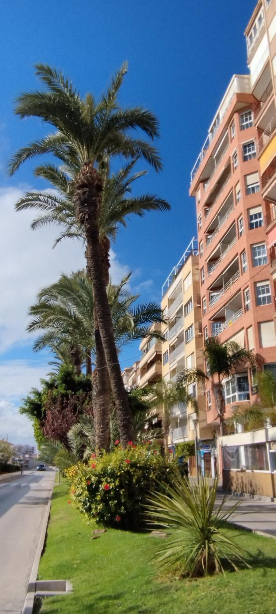 Seaview Playa Del Cura 50m Citycentre Apartamento *