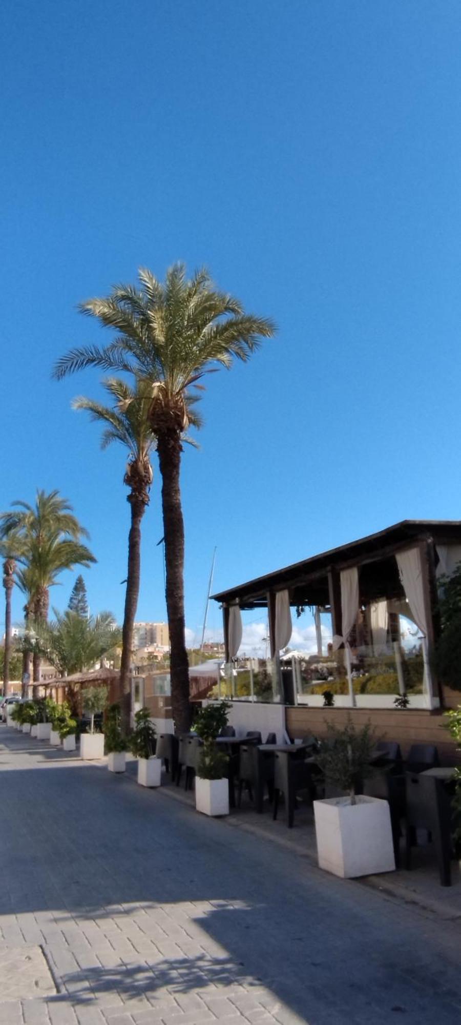 Seaview Playa Del Cura 50m Citycentre *