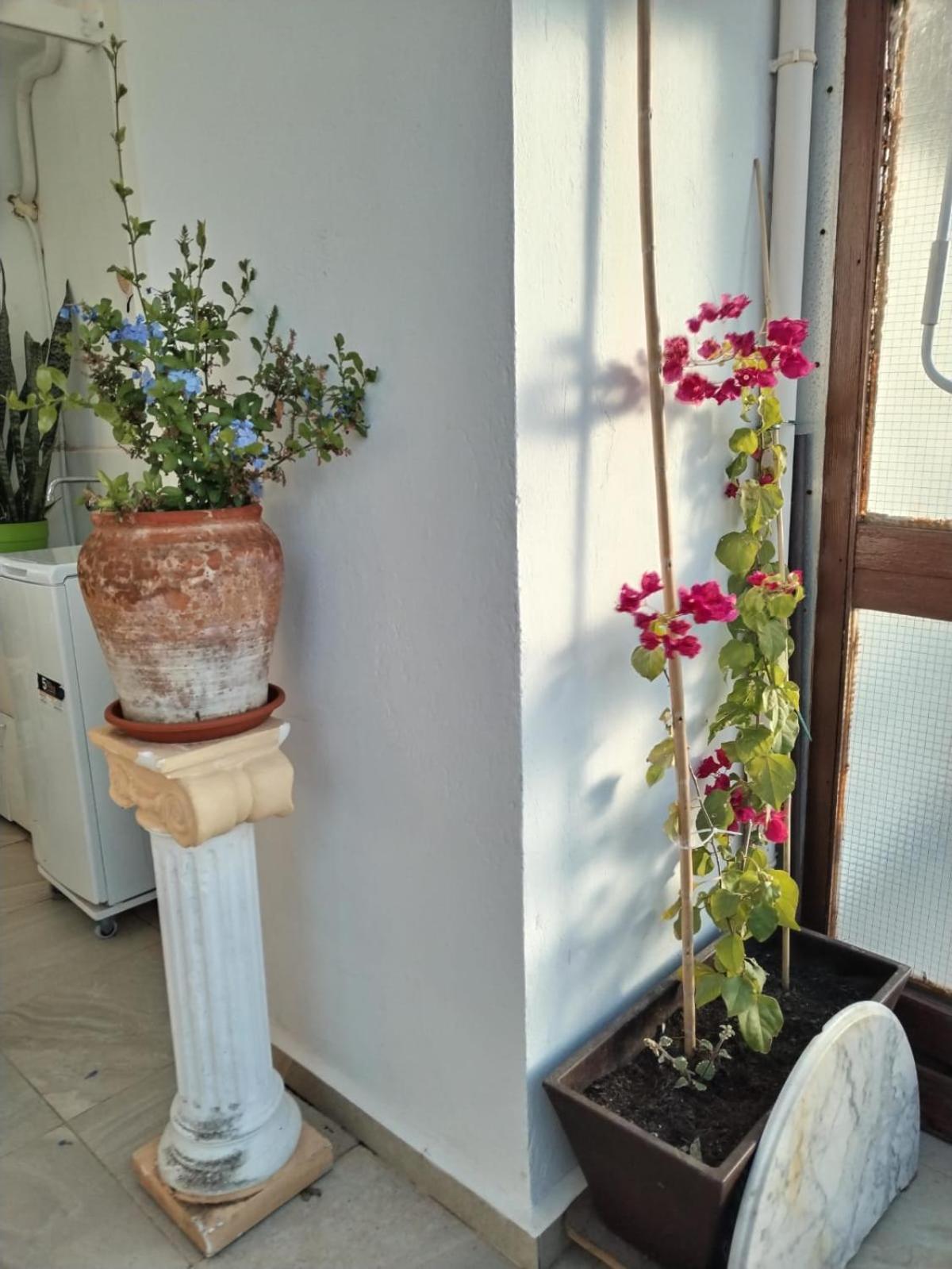 Atico Playa Apartment