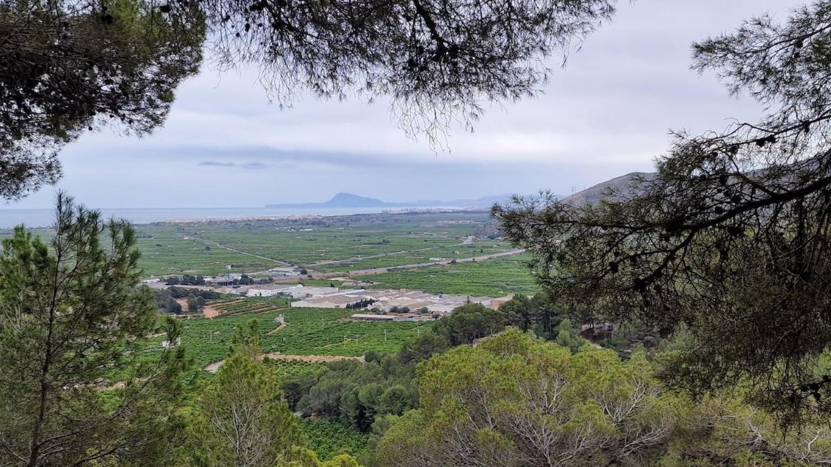 Apartamento Arena Y Mar