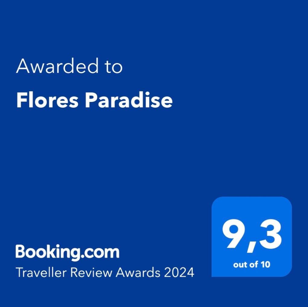 Flores Paradise Sagunto