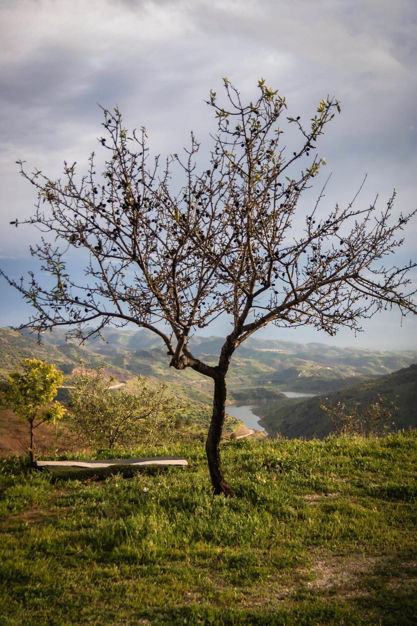 El Desafío De águilas
