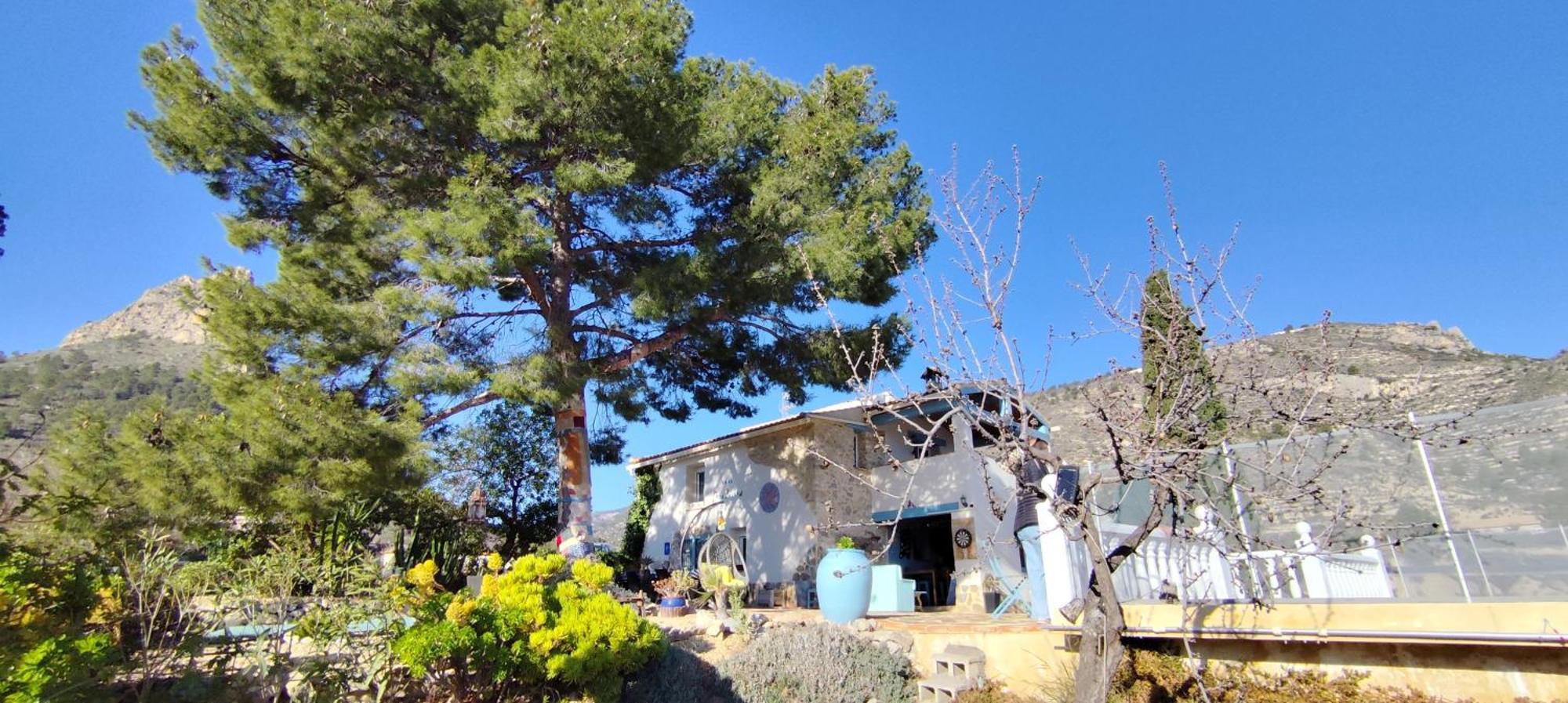 Casa Pura Vida Bed and breakfast