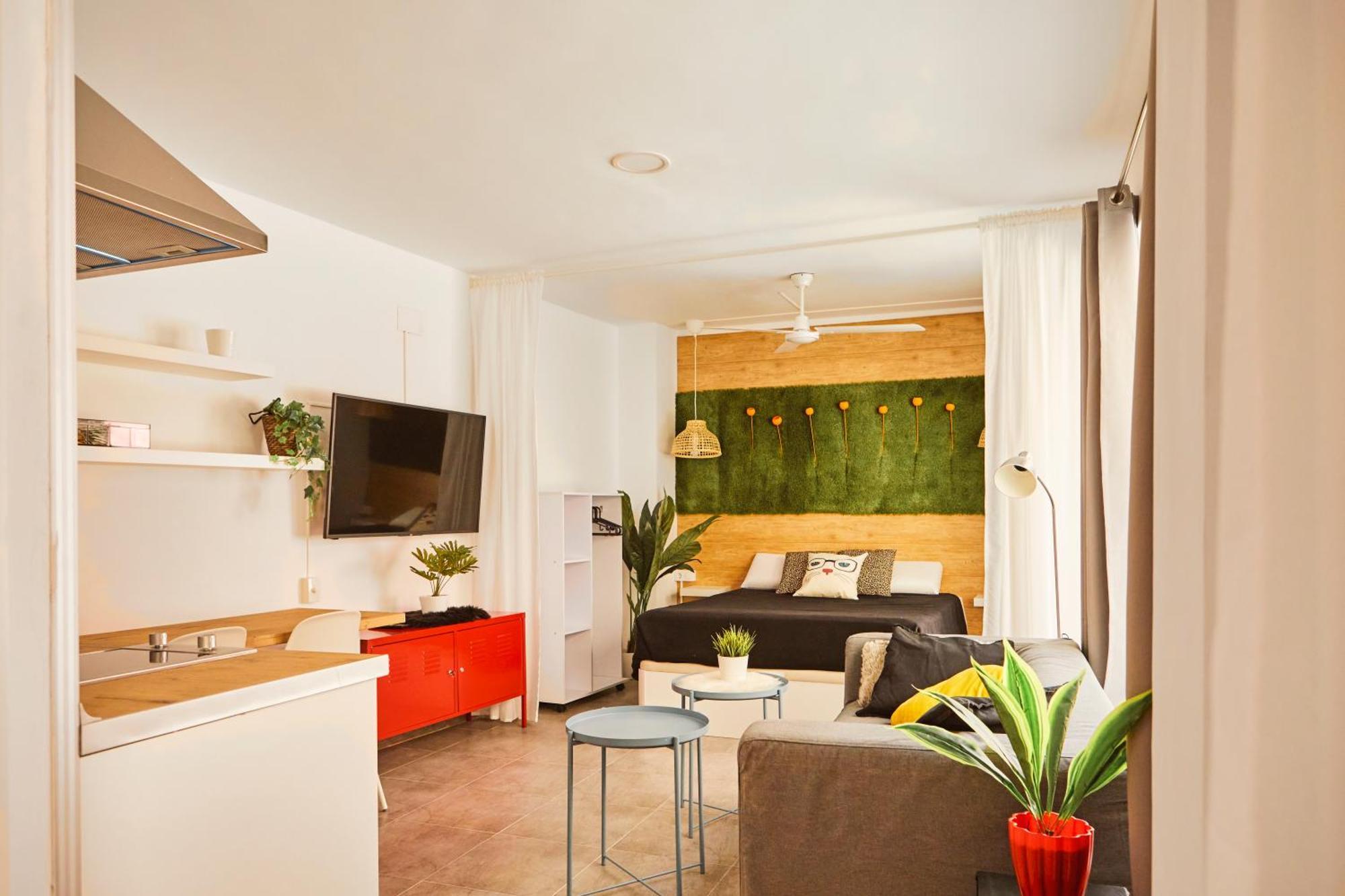 Apartment Edificio San Felix