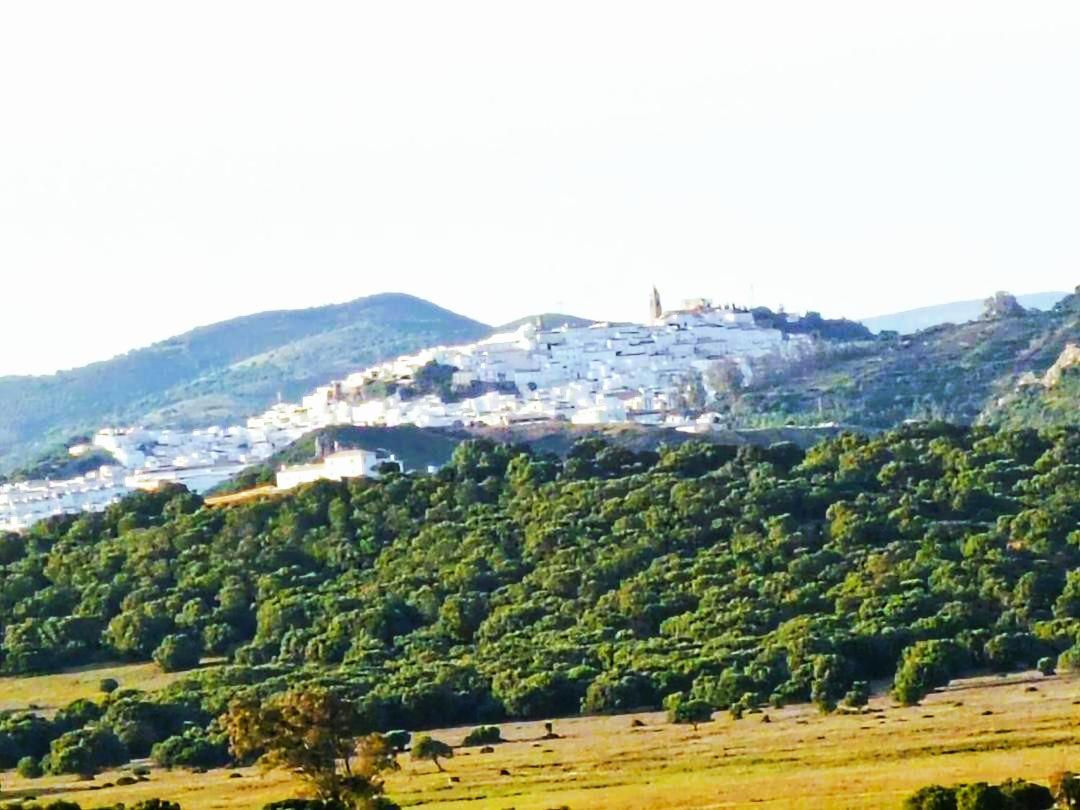 Beautiful Duplex With A Patio Alcala de los Gazules