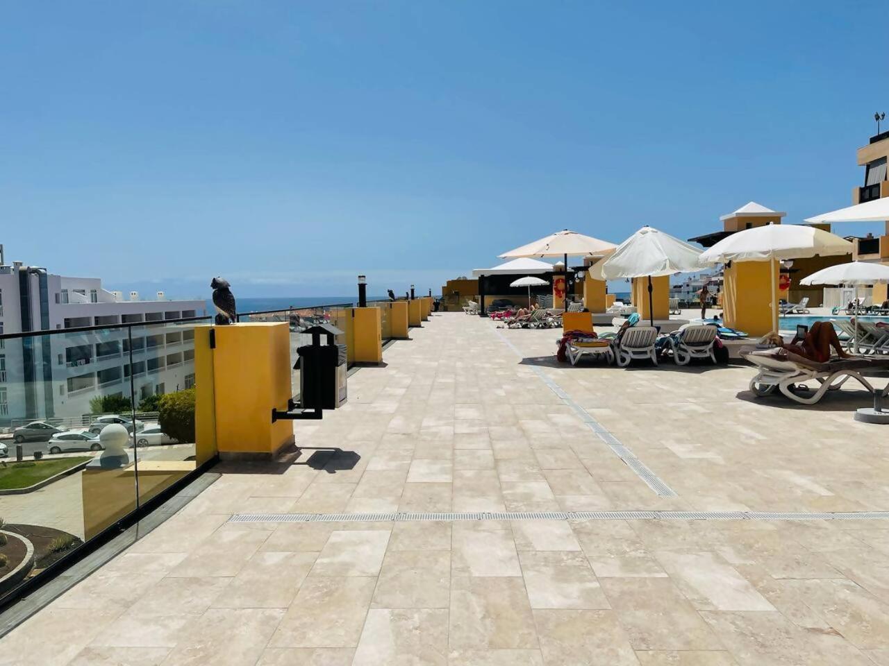 Apartamento Your Sunset Sunny Place In Tenerife
