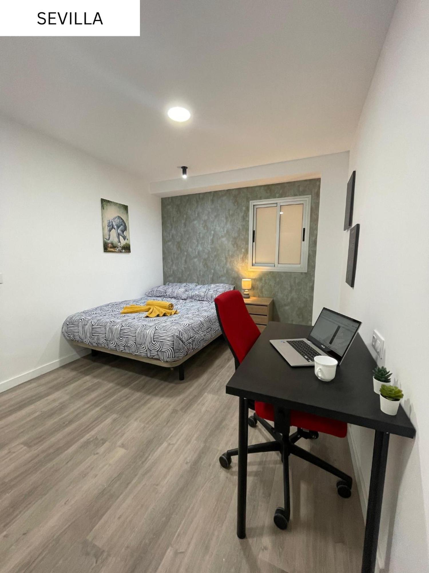 Pensión Coliving El Juanito *