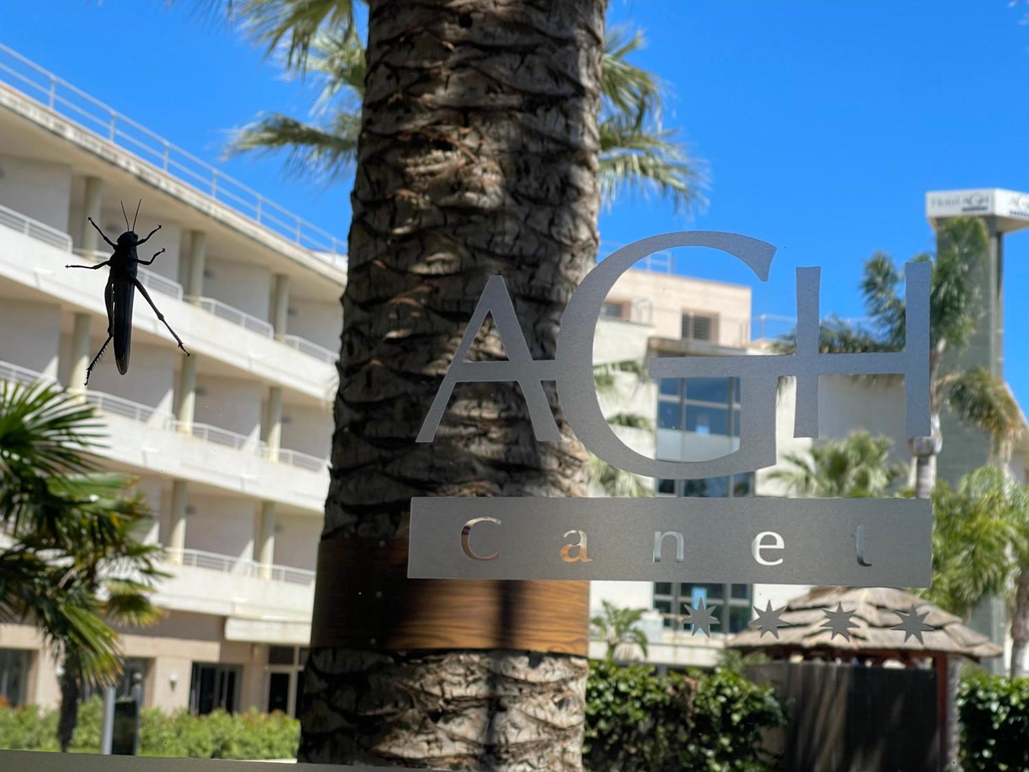 Agh Canet Resort 4*