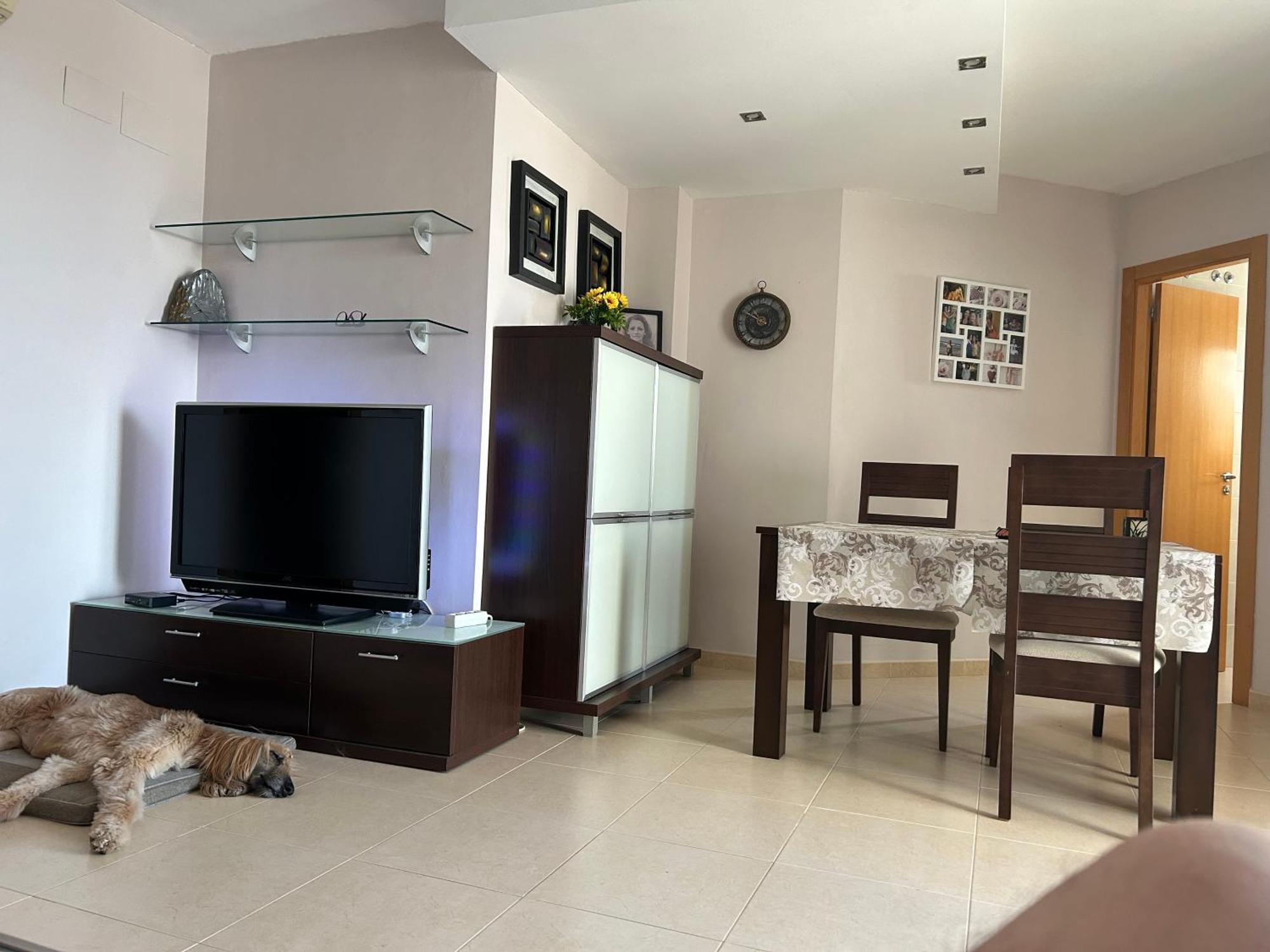 Apartment Playa