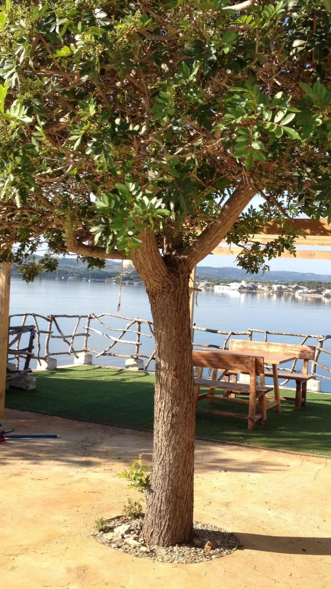Villa Isla Privada, Menorca *