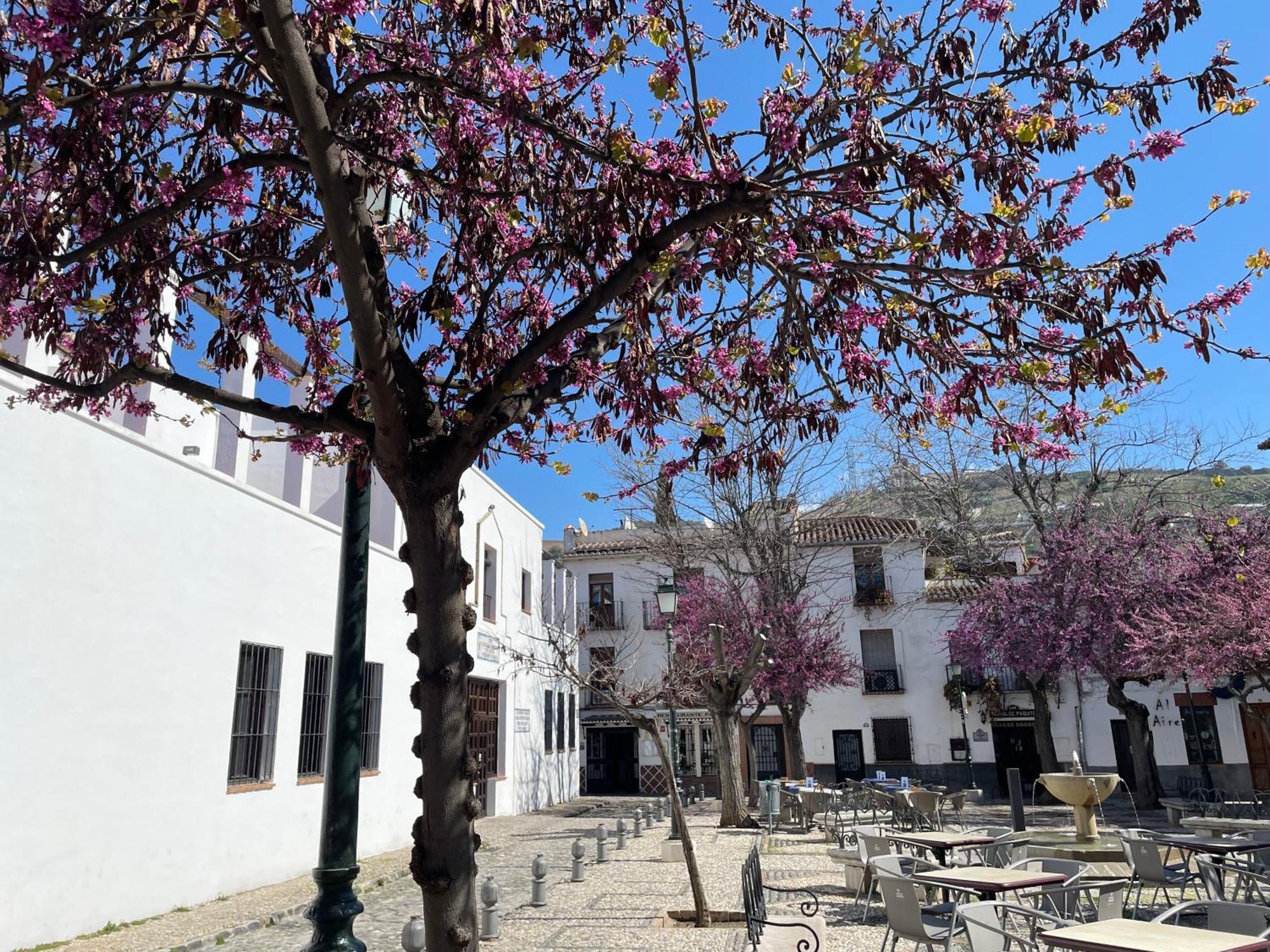 Apartahotel El Patio Del Albaicin Granada