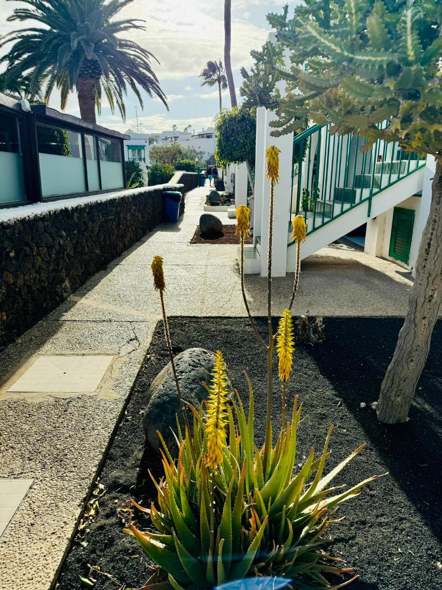 Little Gem Matagorda (Almeria)