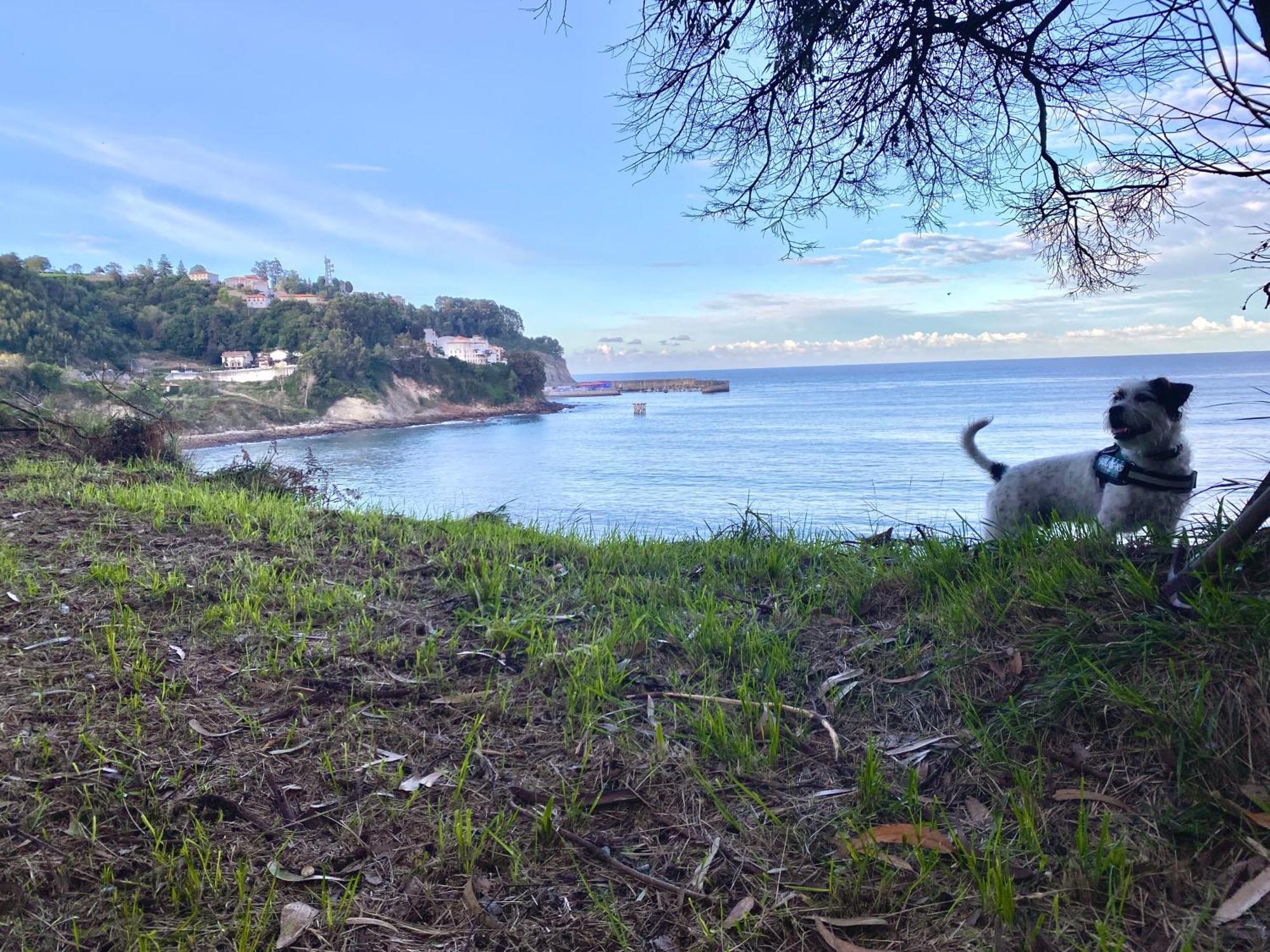Respirando Salitre En Apartment Lastres