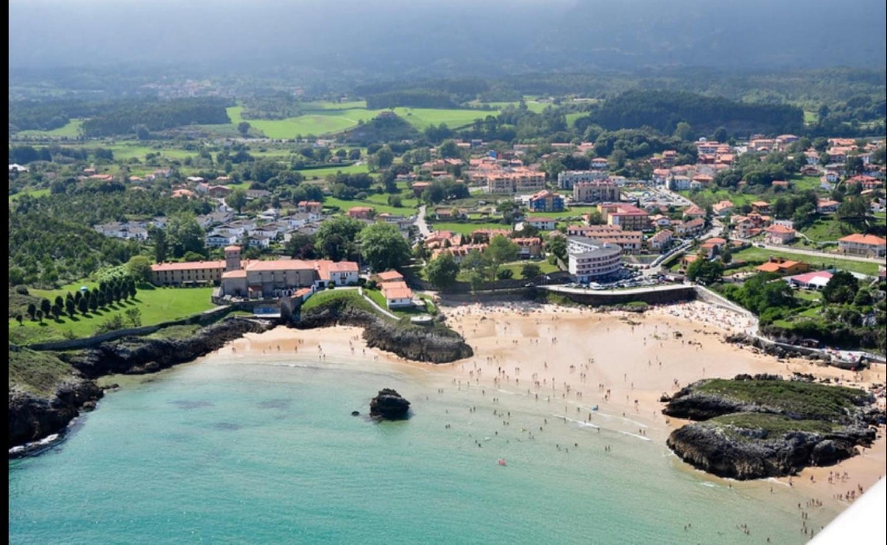 Palmeras
