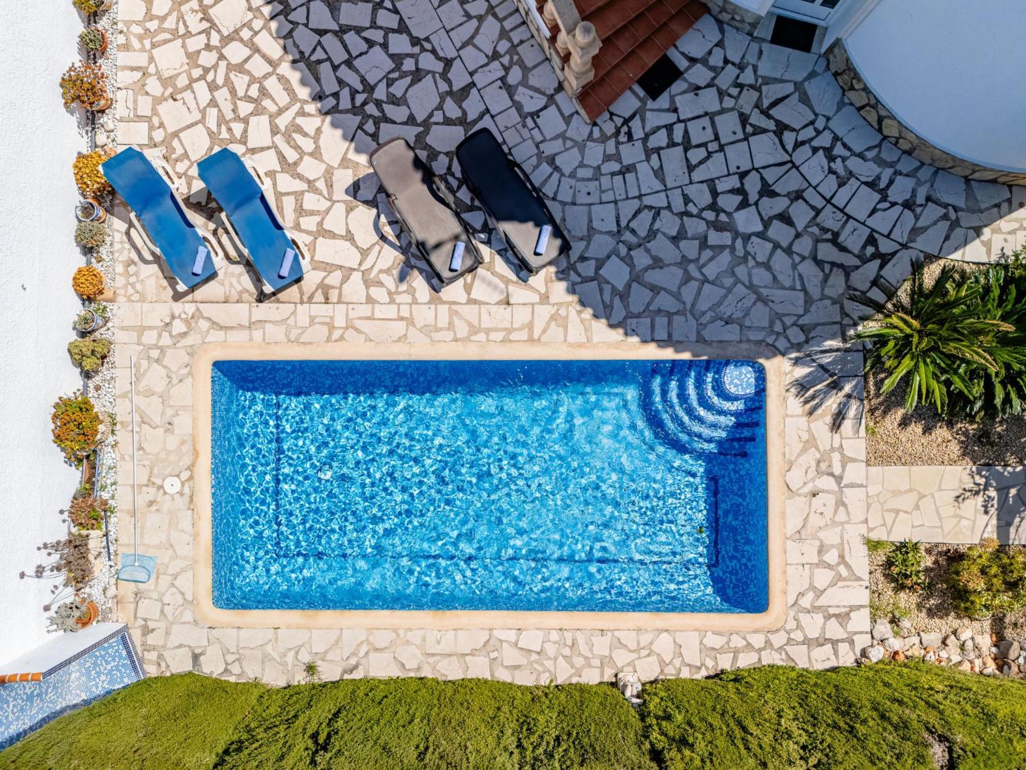 Tulipanes By Interhome
