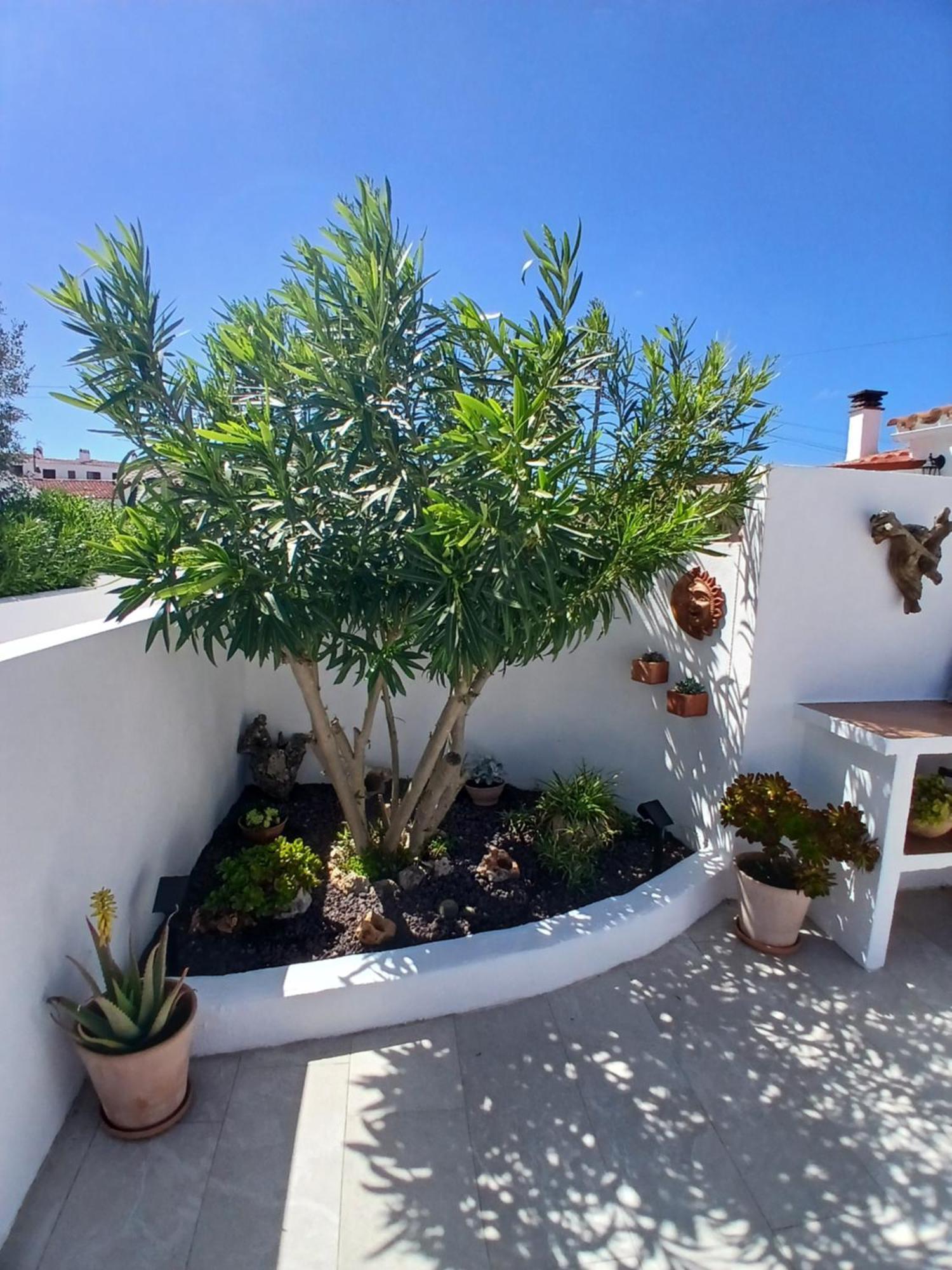 Tramontana Holiday home Cala En Porter (Menorca)